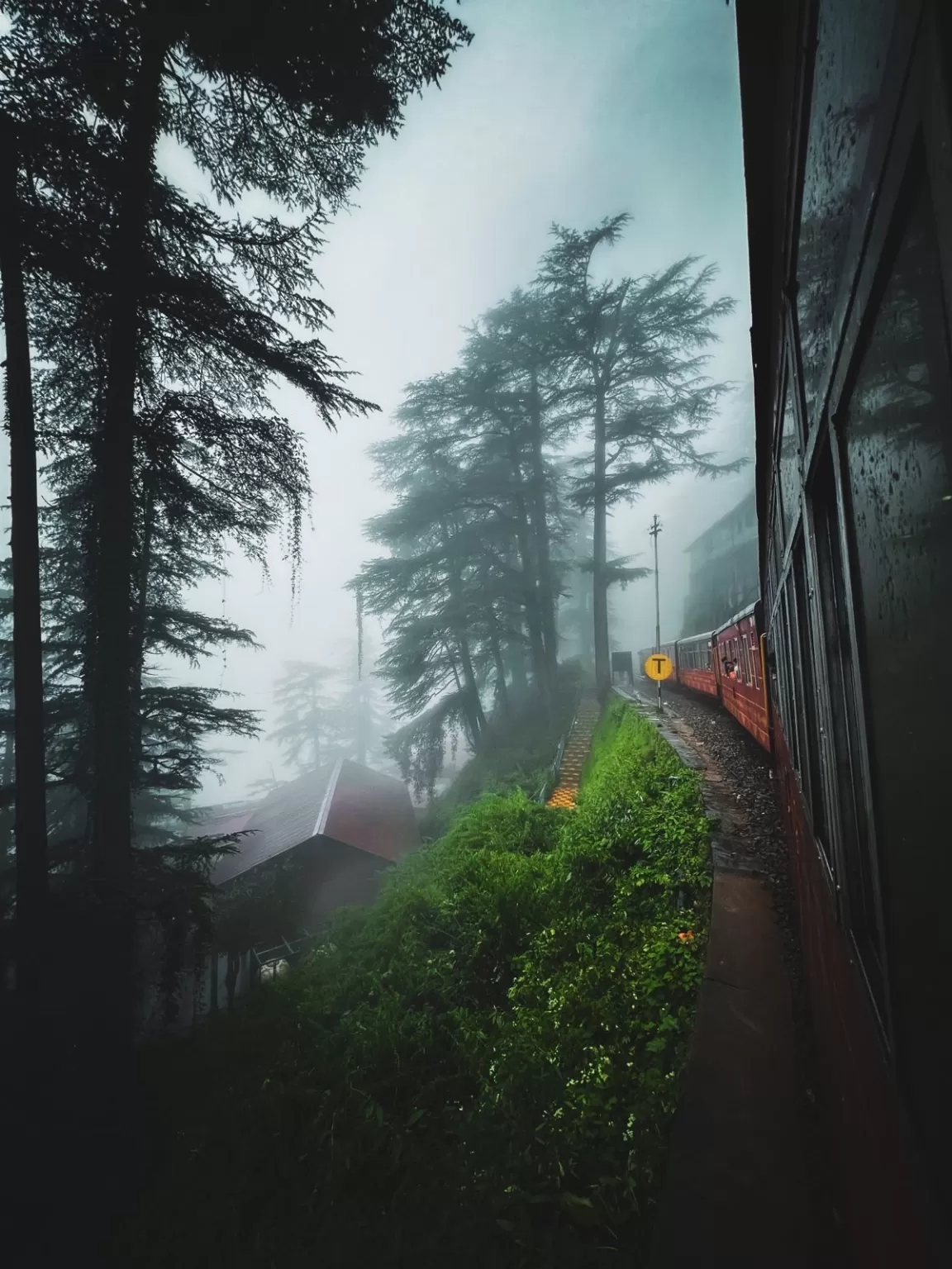 Photo of Kalka-Shimla Toy Train By Nargis Farheena 