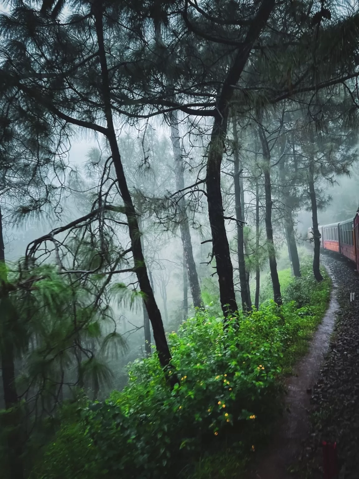 Photo of Kalka-Shimla Toy Train By Nargis Farheena 