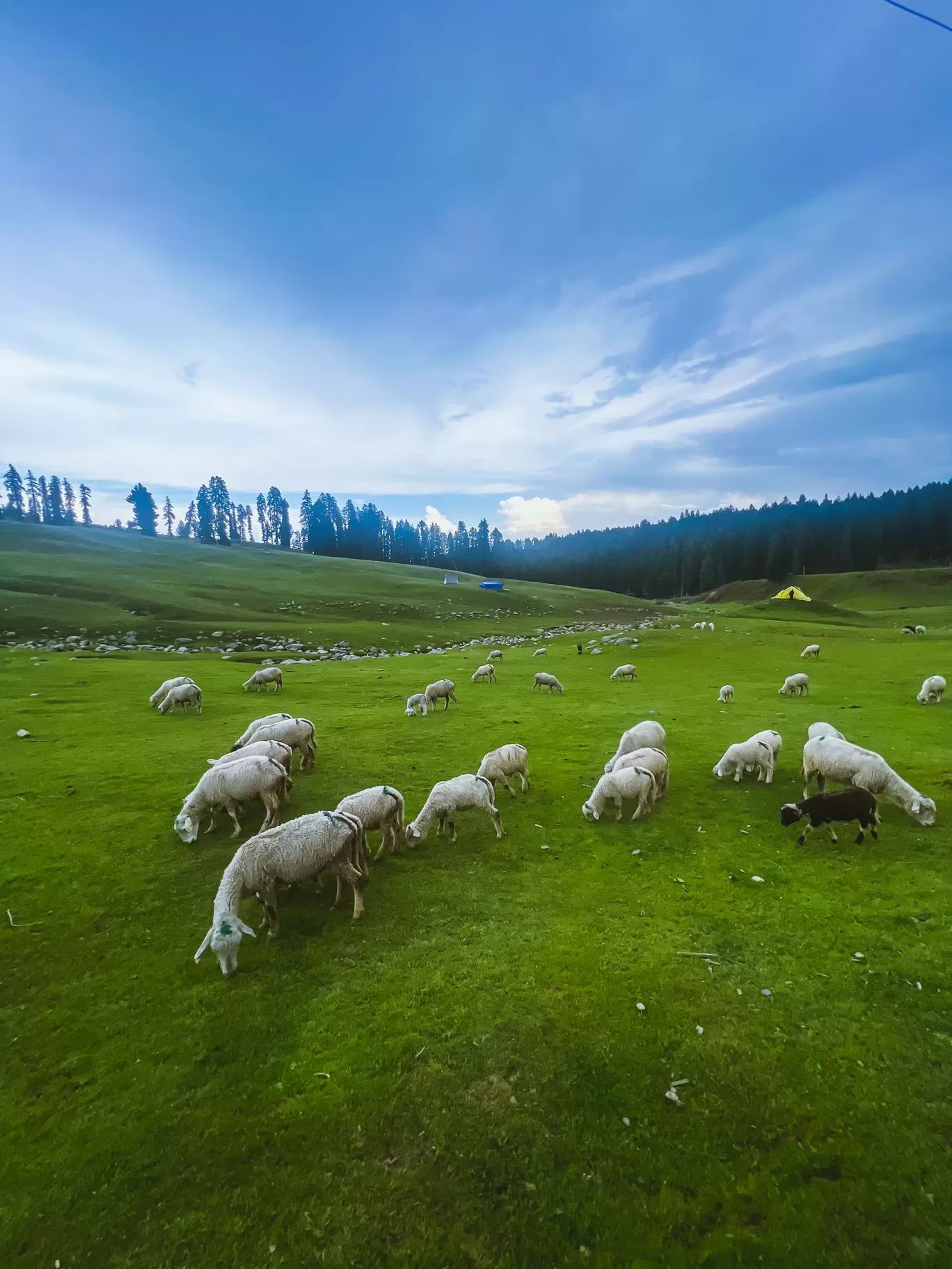 Photo of Doodhpathri Budgam By Nargis Farheena 