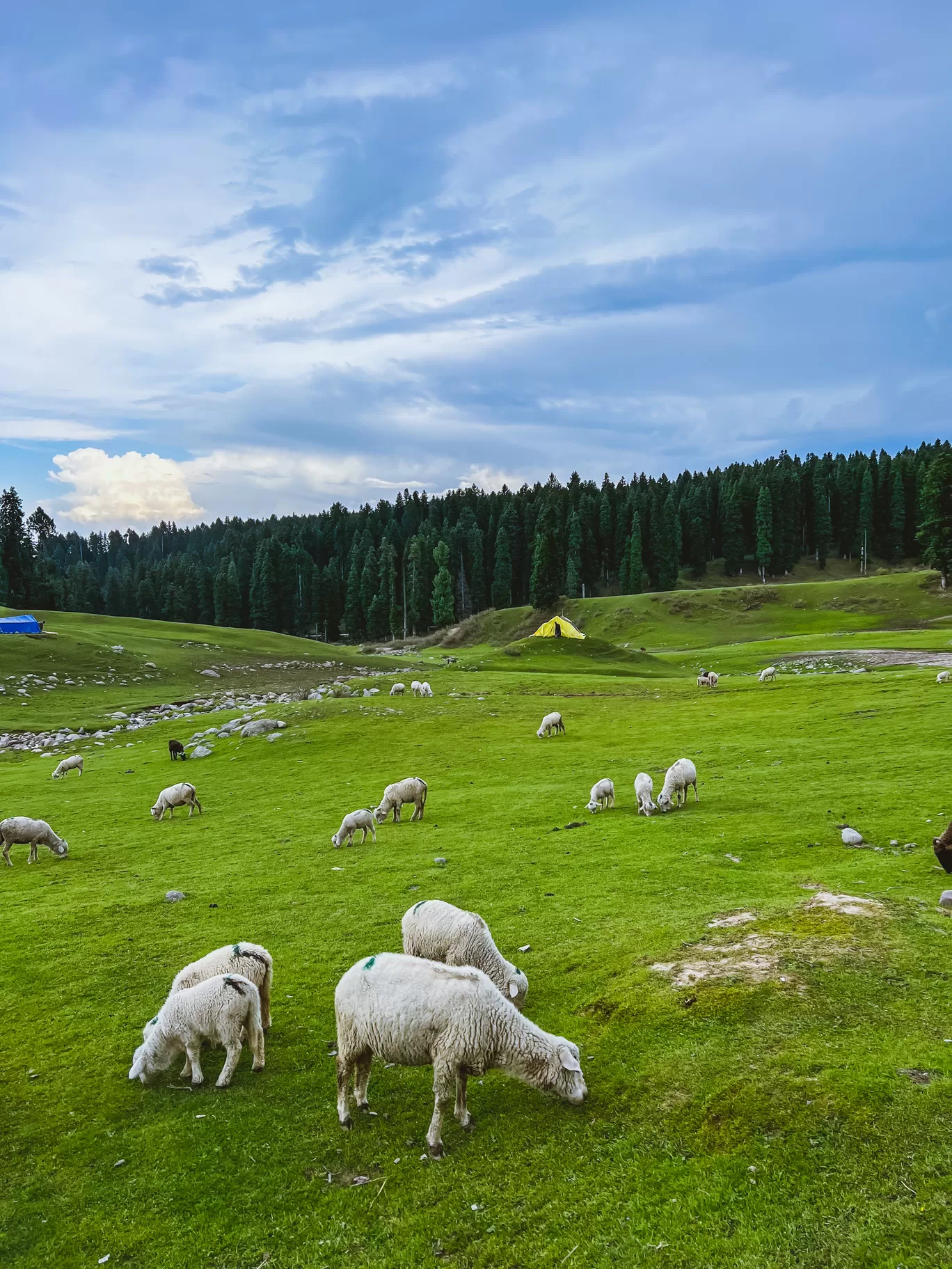 Photo of Doodhpathri Budgam By Nargis Farheena 
