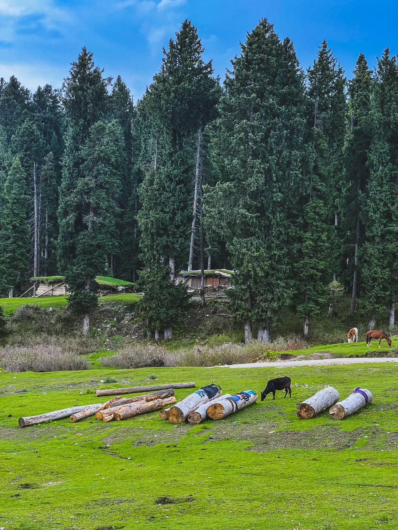 Photo of Doodhpathri Budgam By Nargis Farheena 