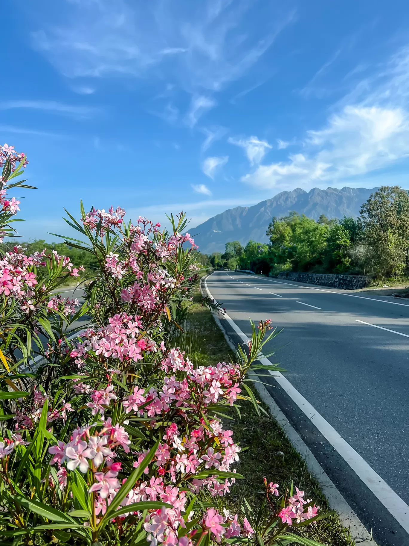 Photo of National Highway 44 By Nargis Farheena 