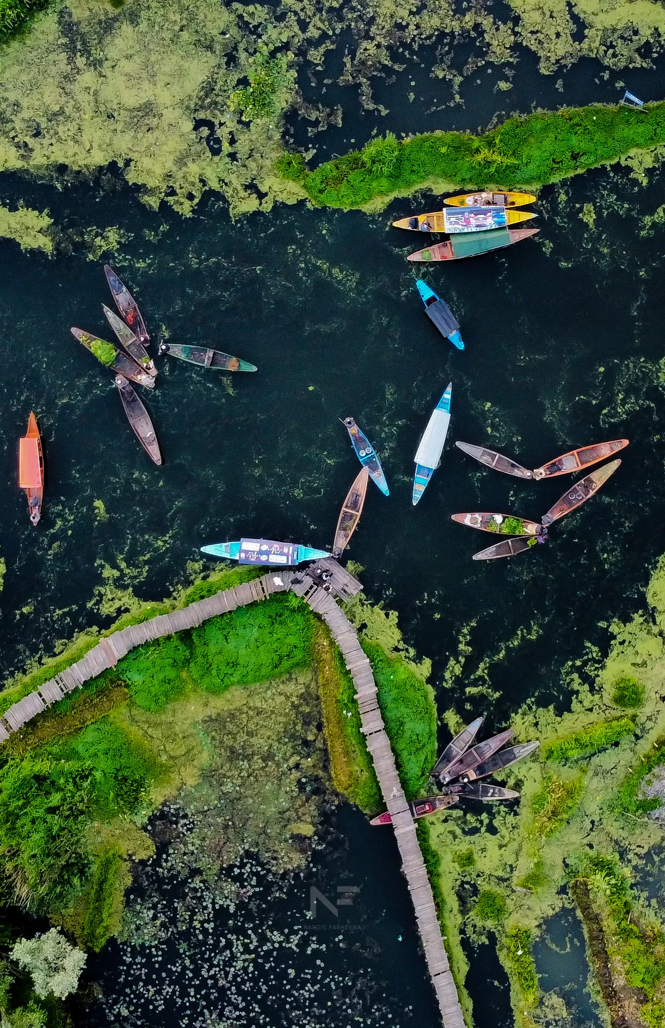 Photo of Dal Lake By Nargis Farheena 