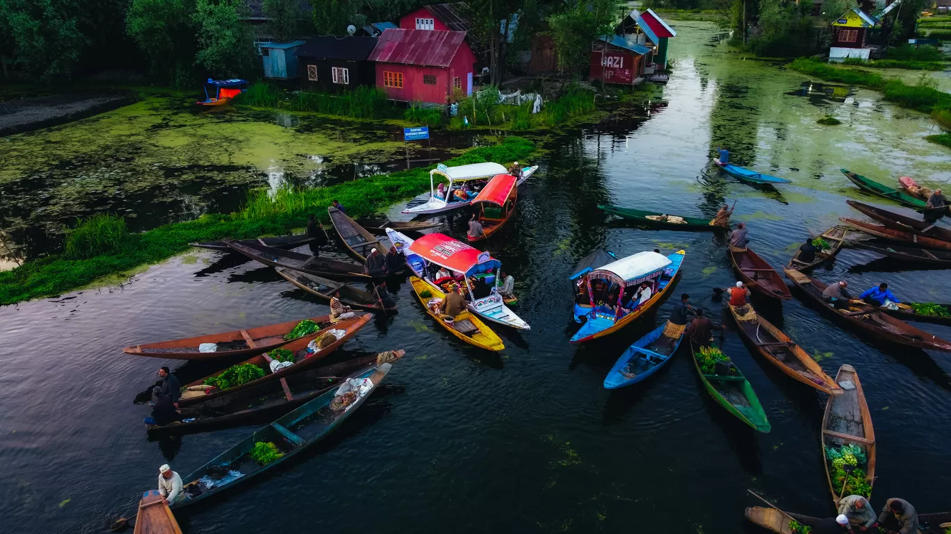 Photo of Dal Lake By Nargis Farheena 