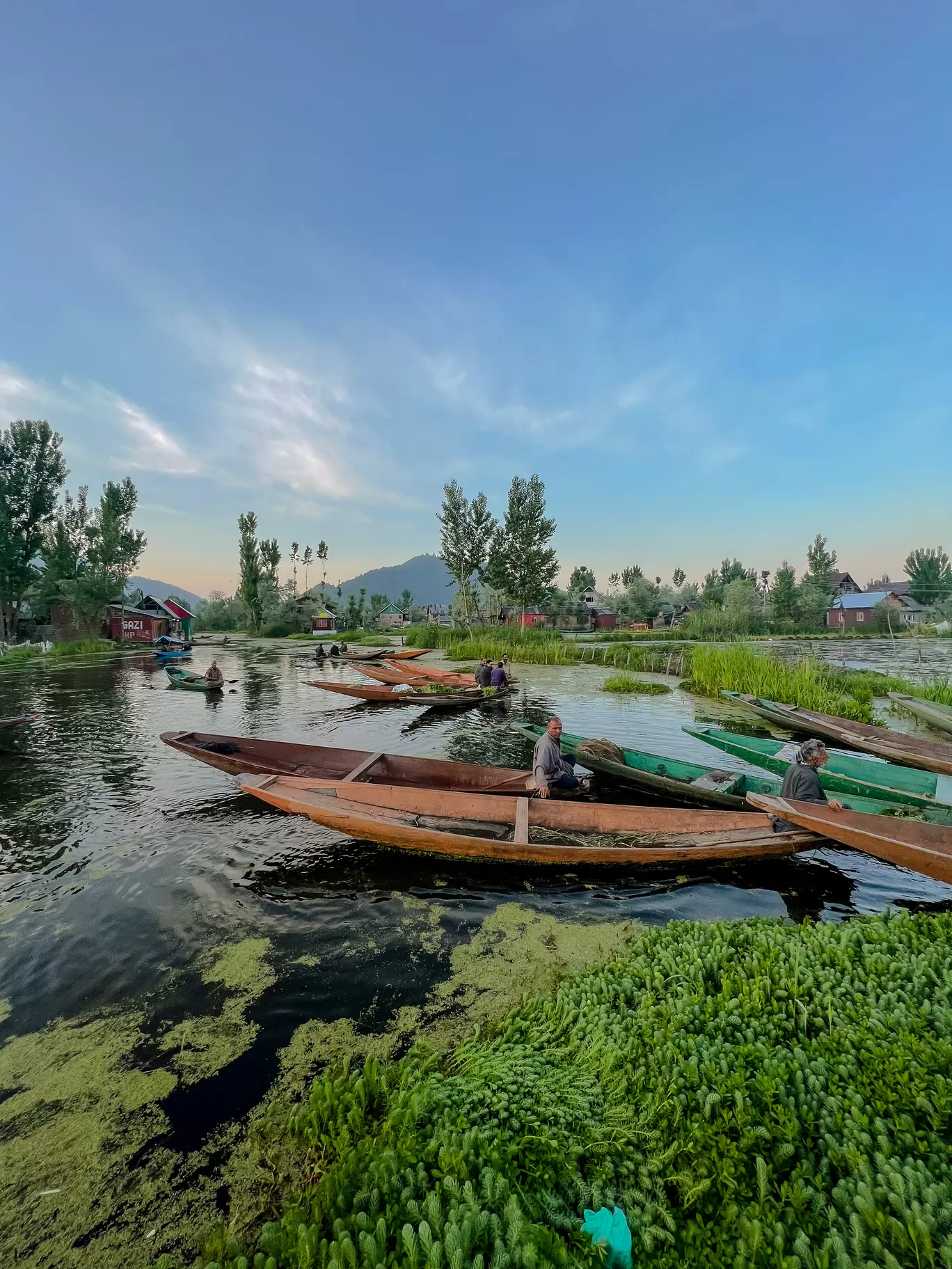 Photo of Dal Lake By Nargis Farheena 