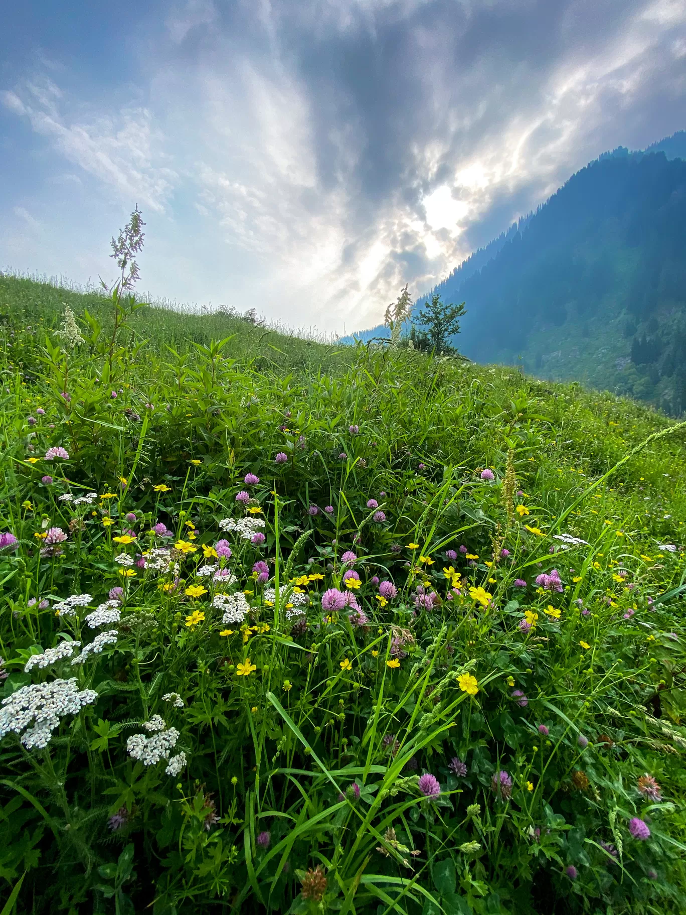 Photo of Gurez Valley By Nargis Farheena 