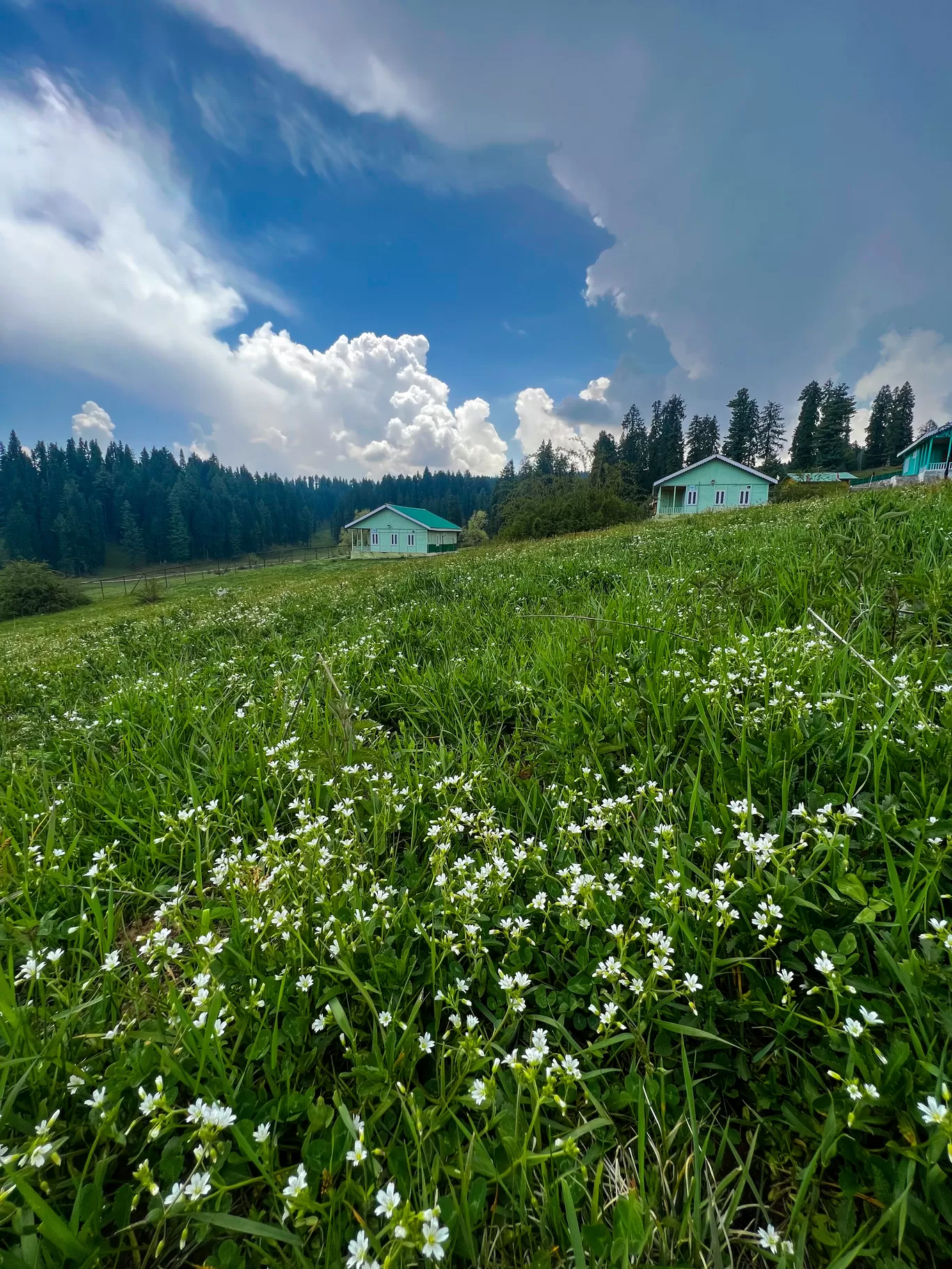 Photo of Yousmarg By Nargis Farheena 