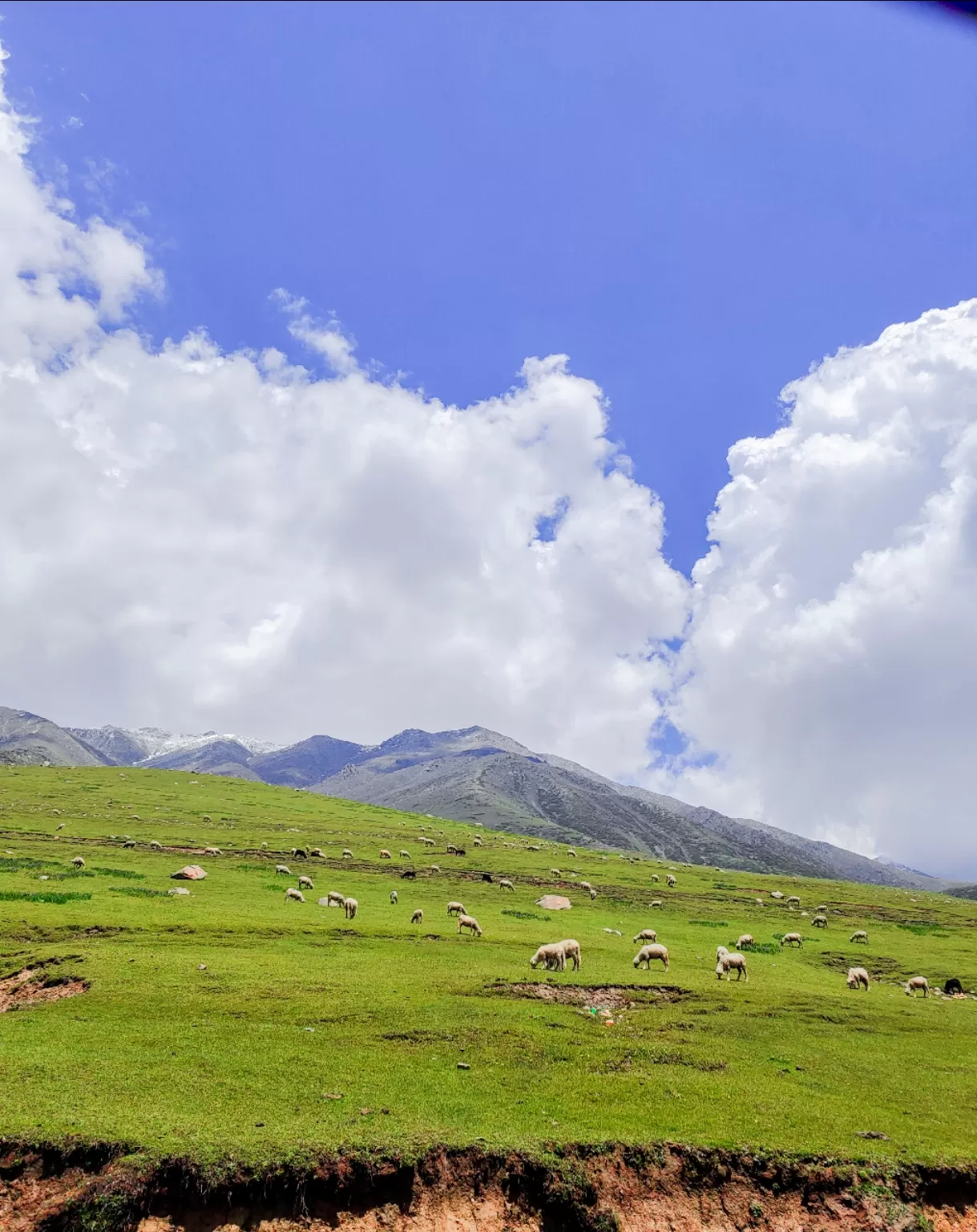 Photo of Pir Gali Road By Nargis Farheena 