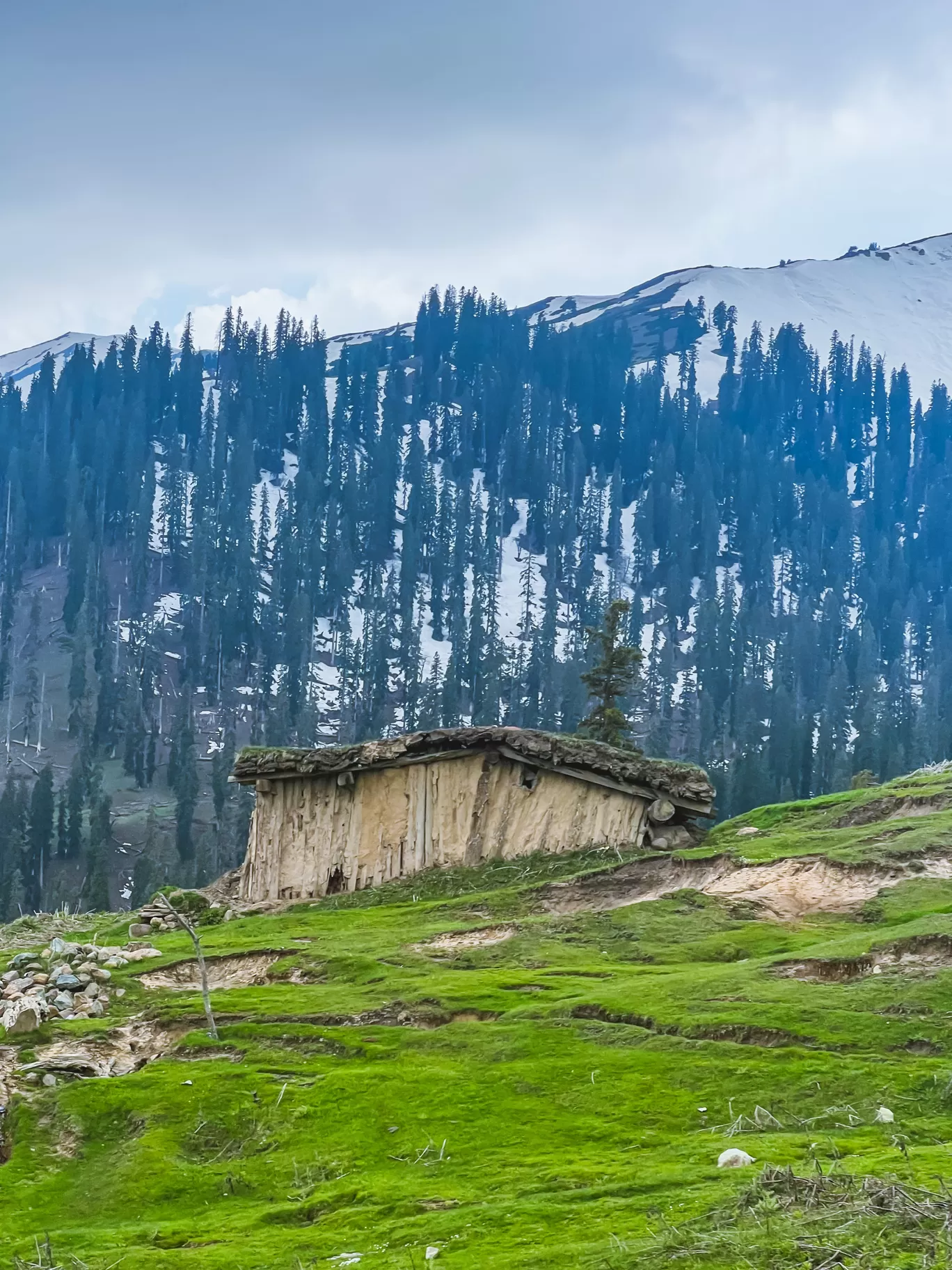 Photo of Tosamaidan توسہ میدان By Nargis Farheena 