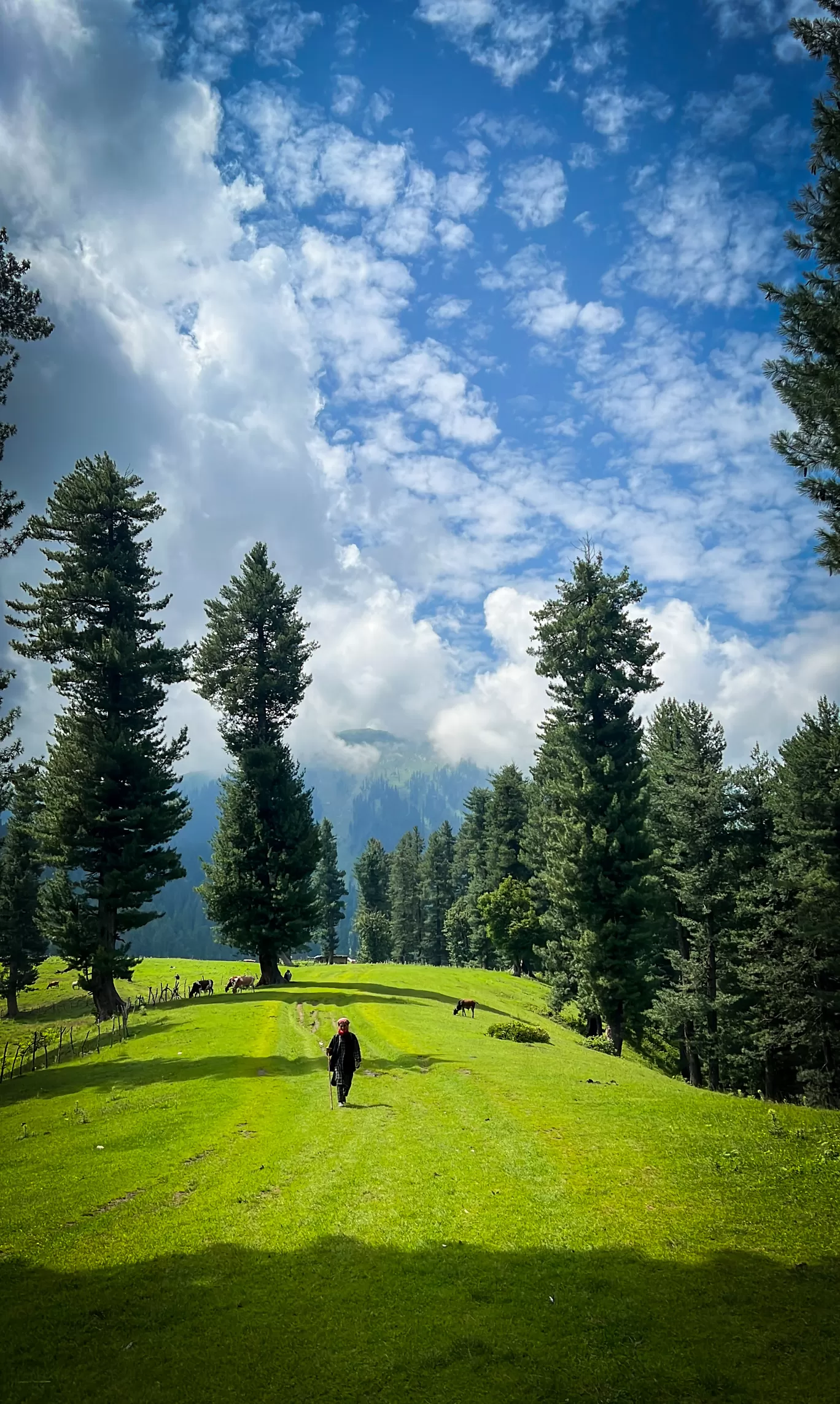 Photo of Kongwattan Meadow By Nargis Farheena 