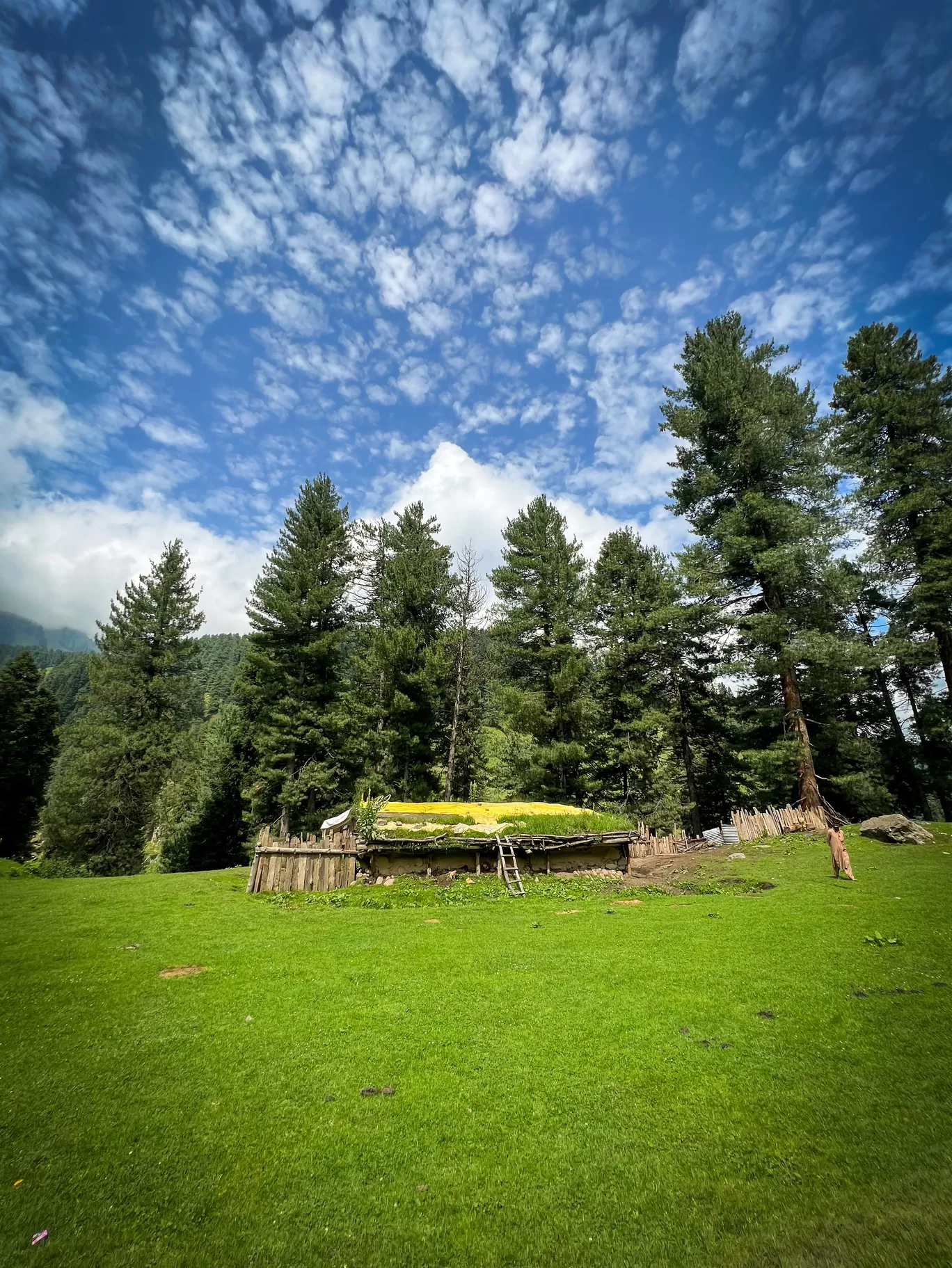 Photo of Kongwattan Meadow By Nargis Farheena 