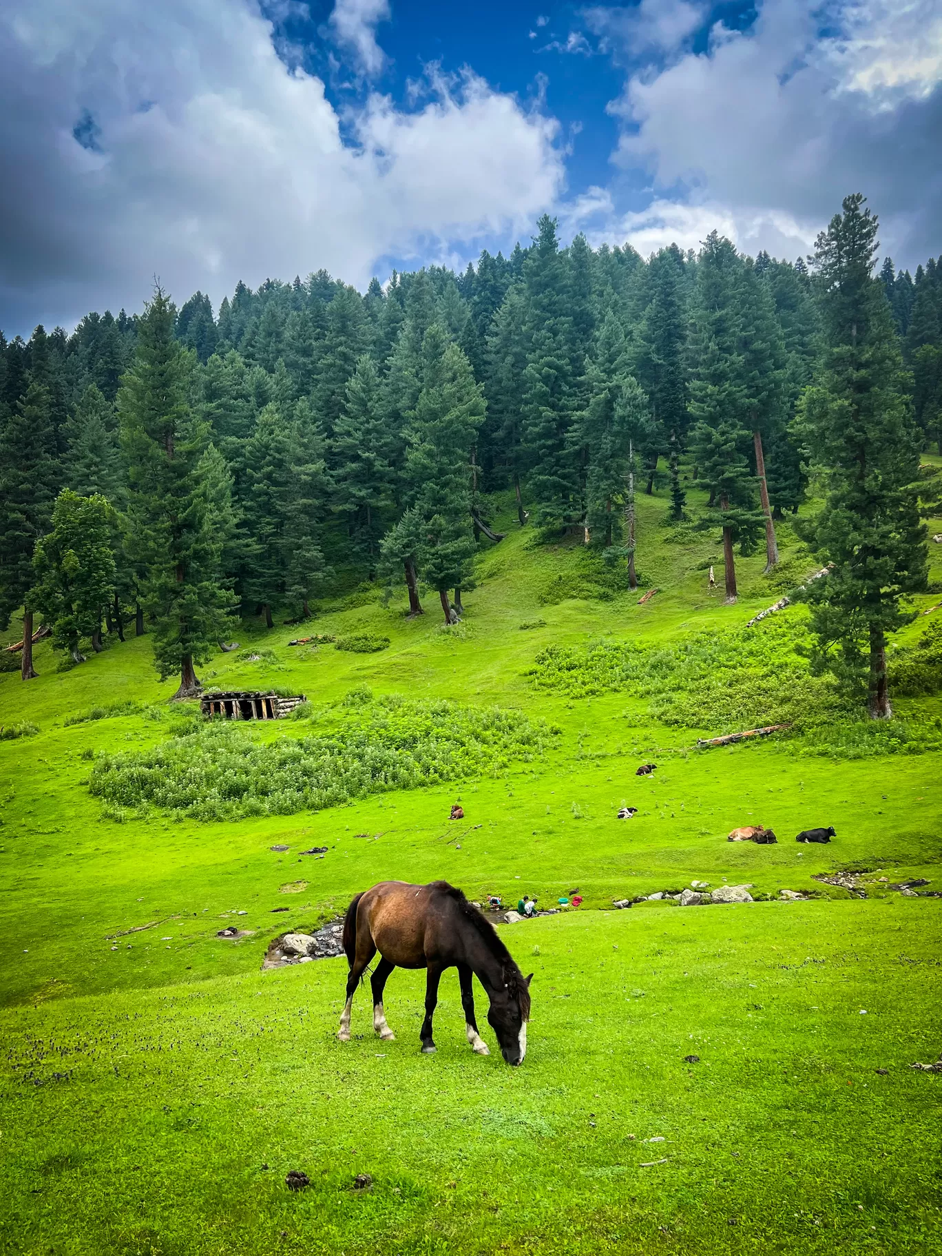 Photo of Kongwattan Meadow By Nargis Farheena 