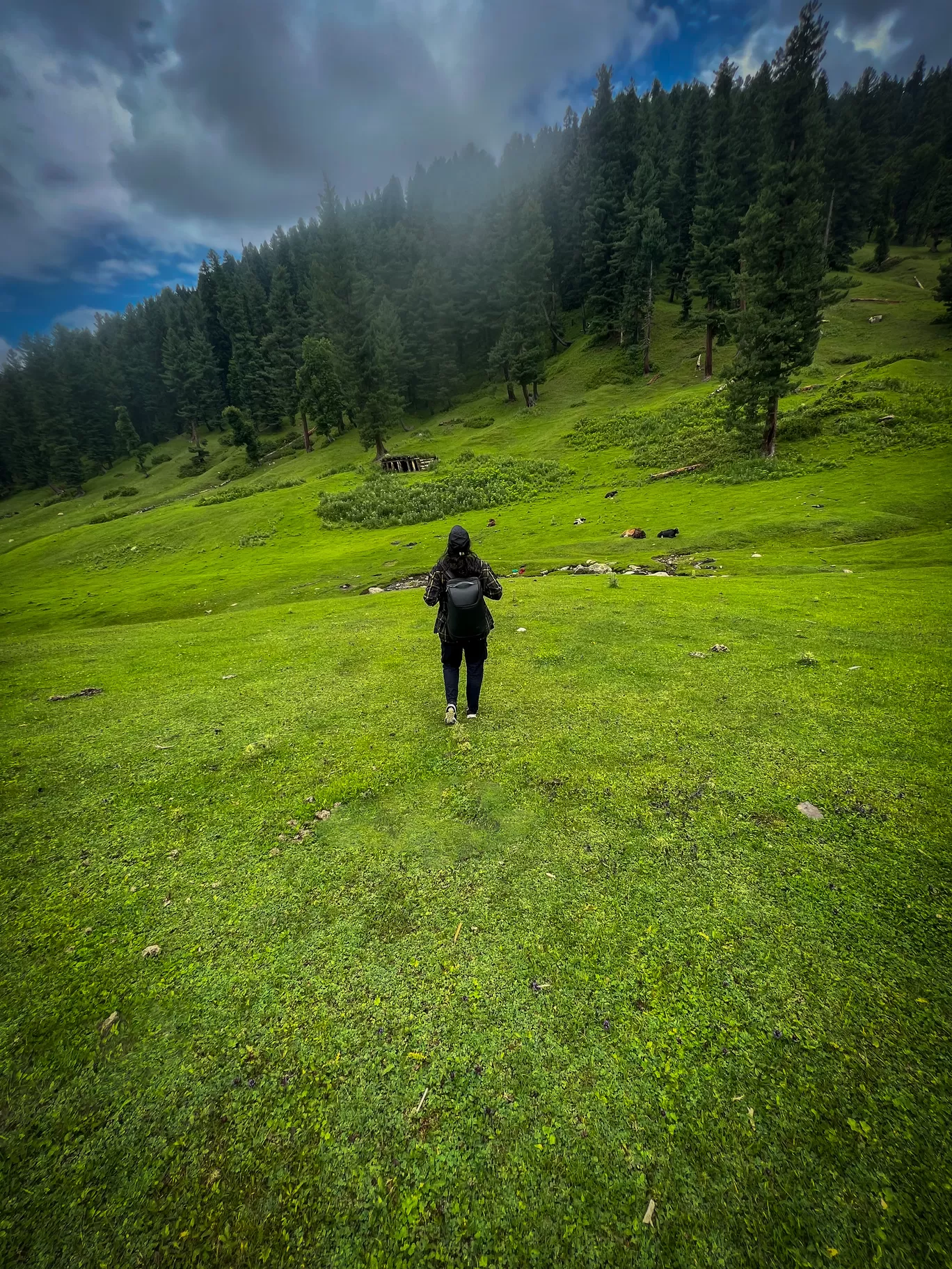 Photo of Kongwattan Meadow By Nargis Farheena 