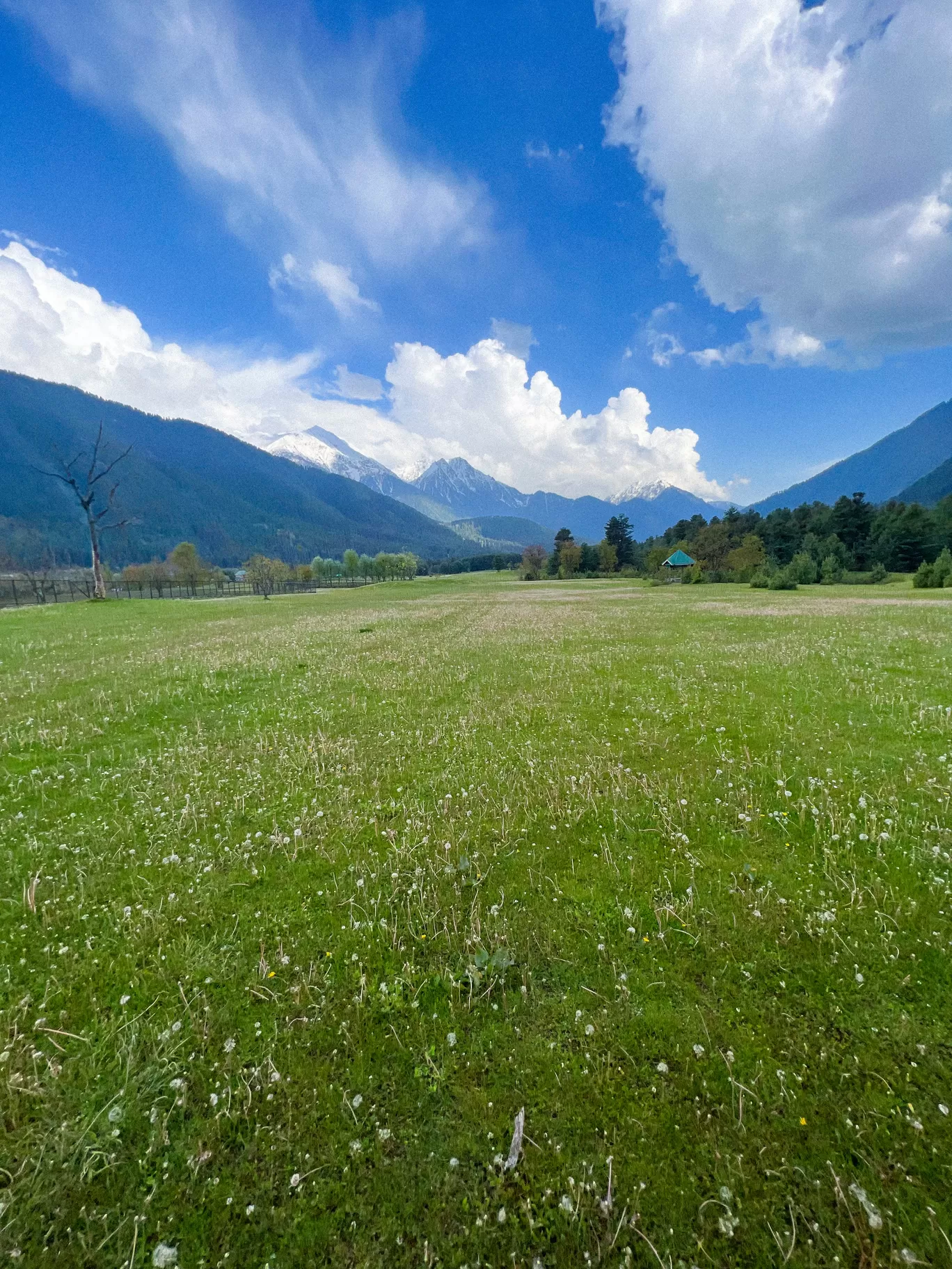 Photo of Lidder Valley Golf Course Pahalgam By Nargis Farheena 