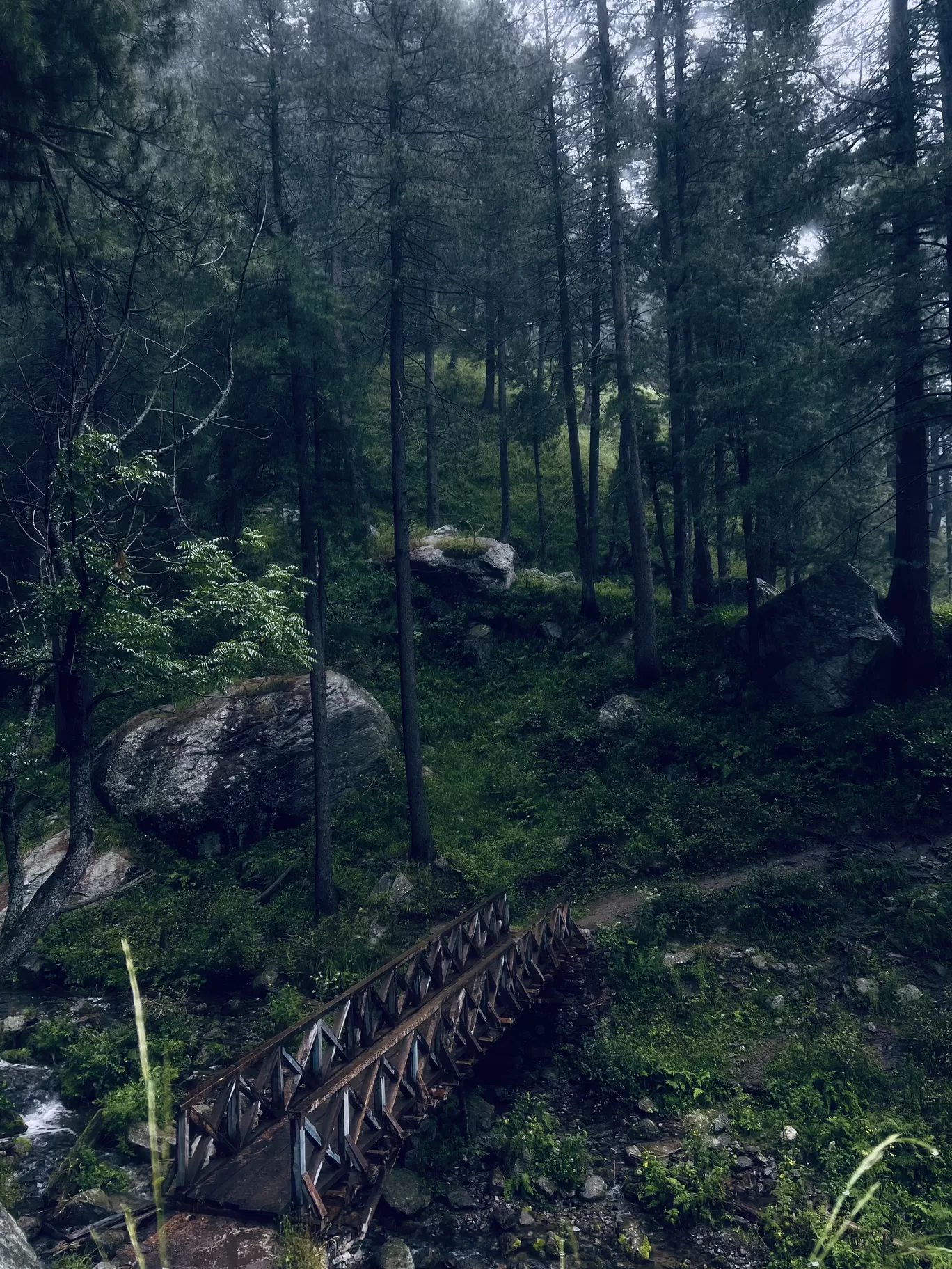 Photo of Wildlife sanctuary limber baramulla By Nargis Farheena 