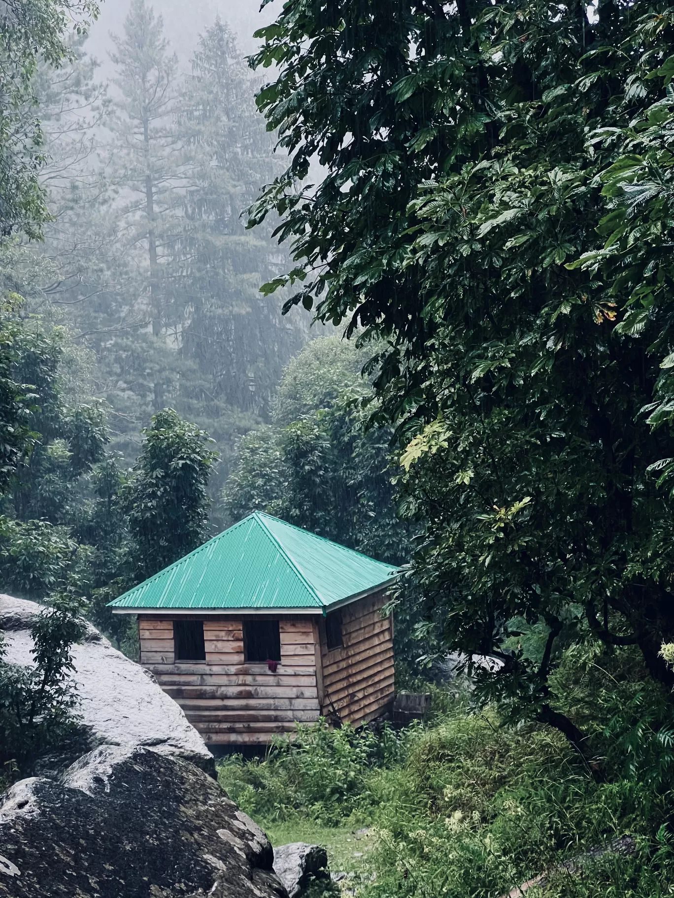 Photo of Wildlife sanctuary limber baramulla By Nargis Farheena 