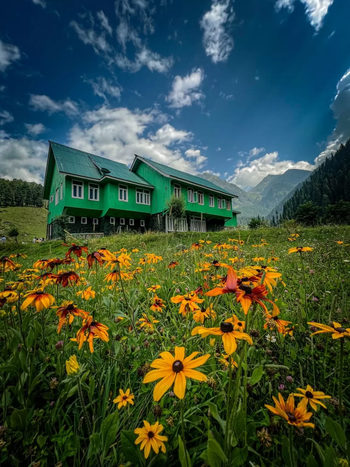 Photo of Aru Valley By Nargis Farheena 