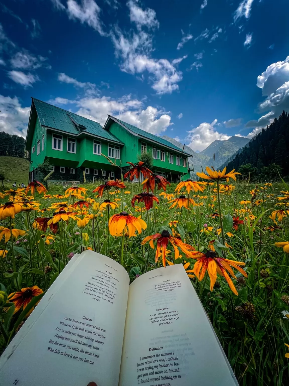 Photo of Aru Valley By Nargis Farheena 