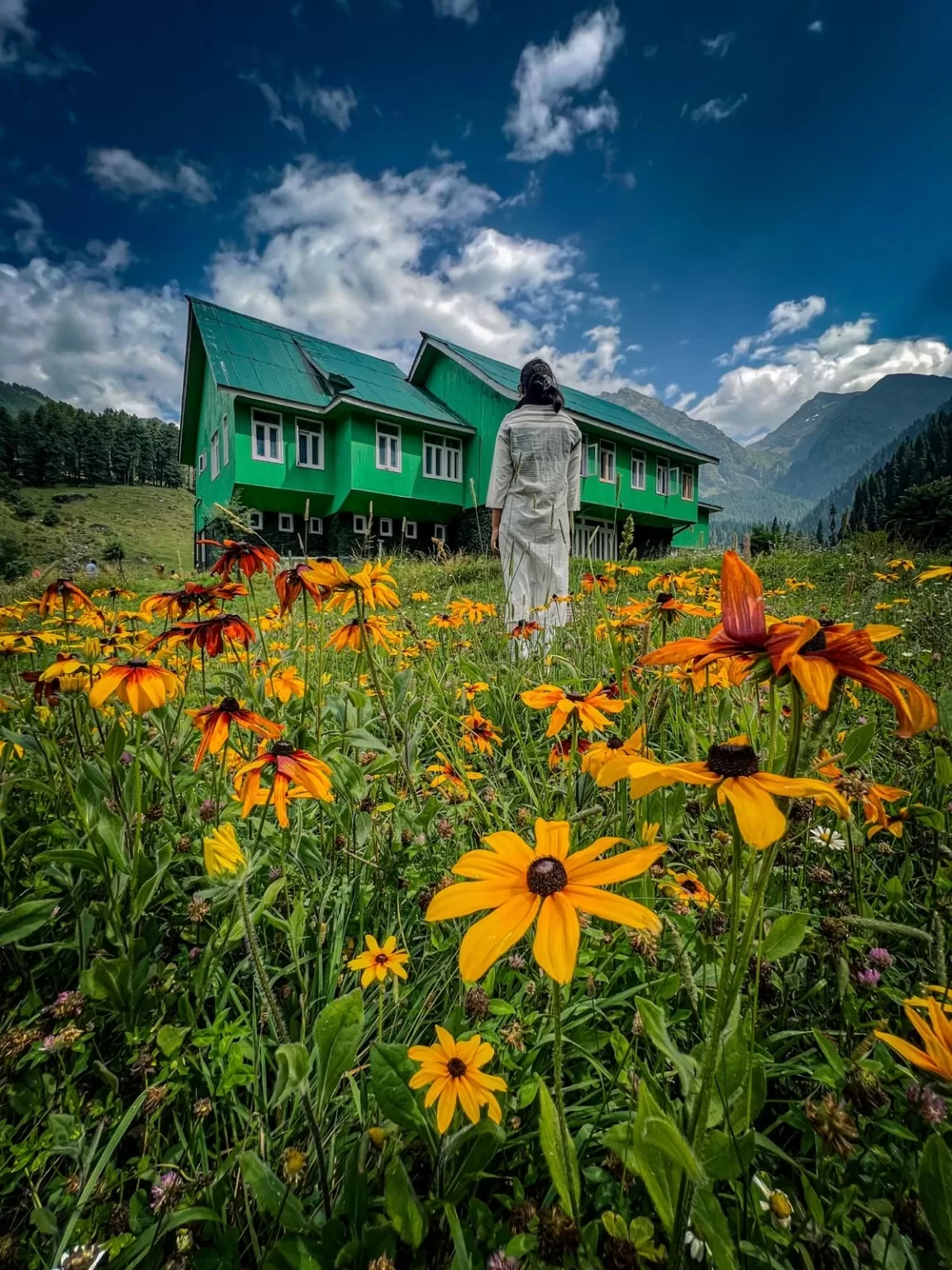 Photo of Aru Valley By Nargis Farheena 