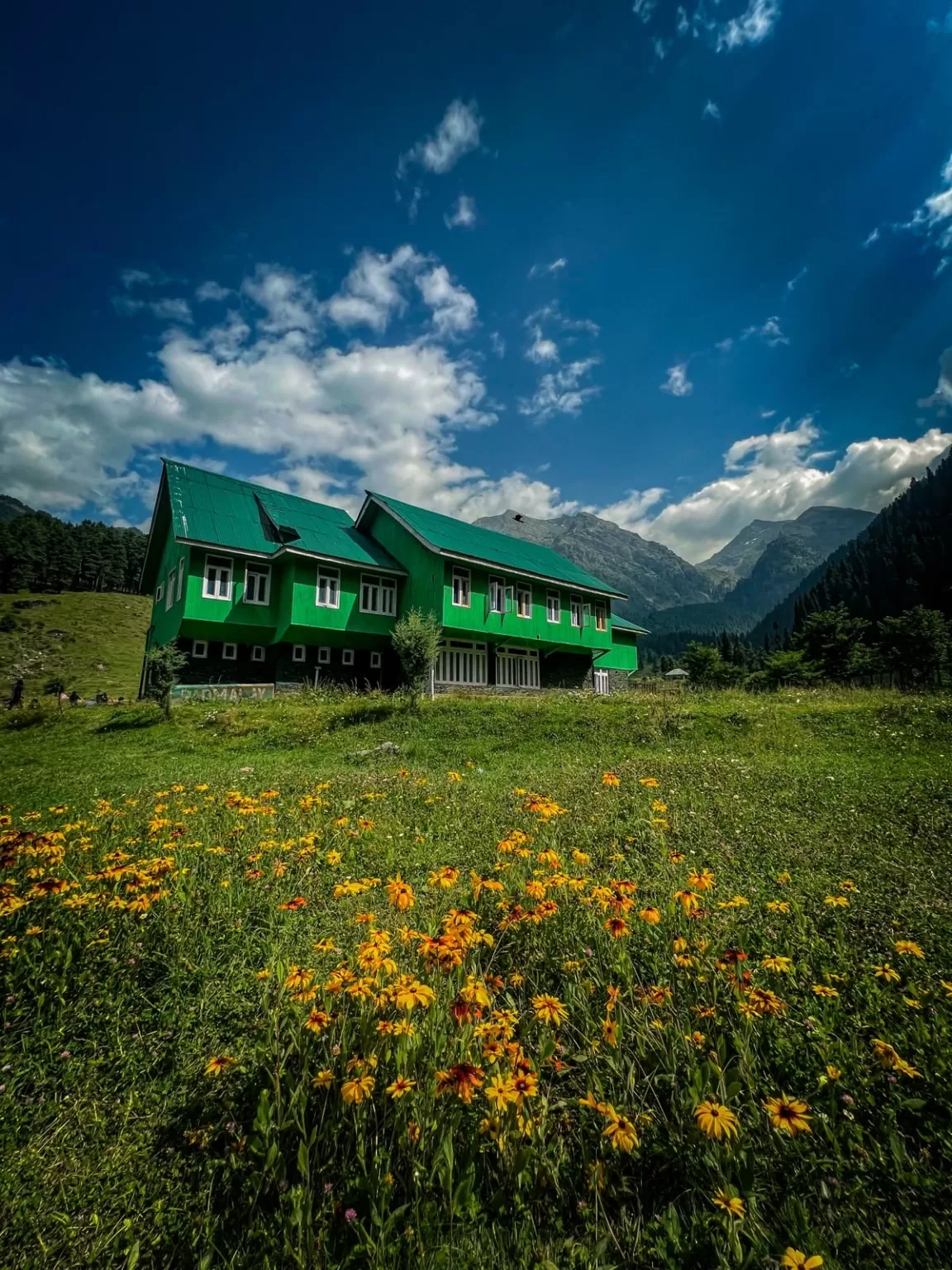 Photo of Aru Valley By Nargis Farheena 