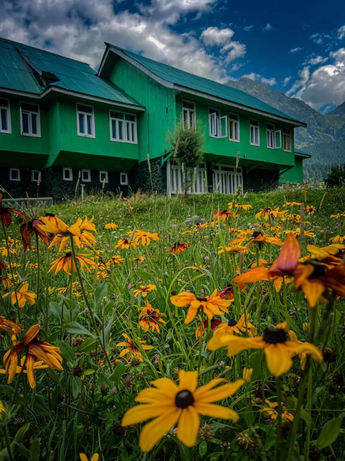 Photo of Aru Valley By Nargis Farheena 