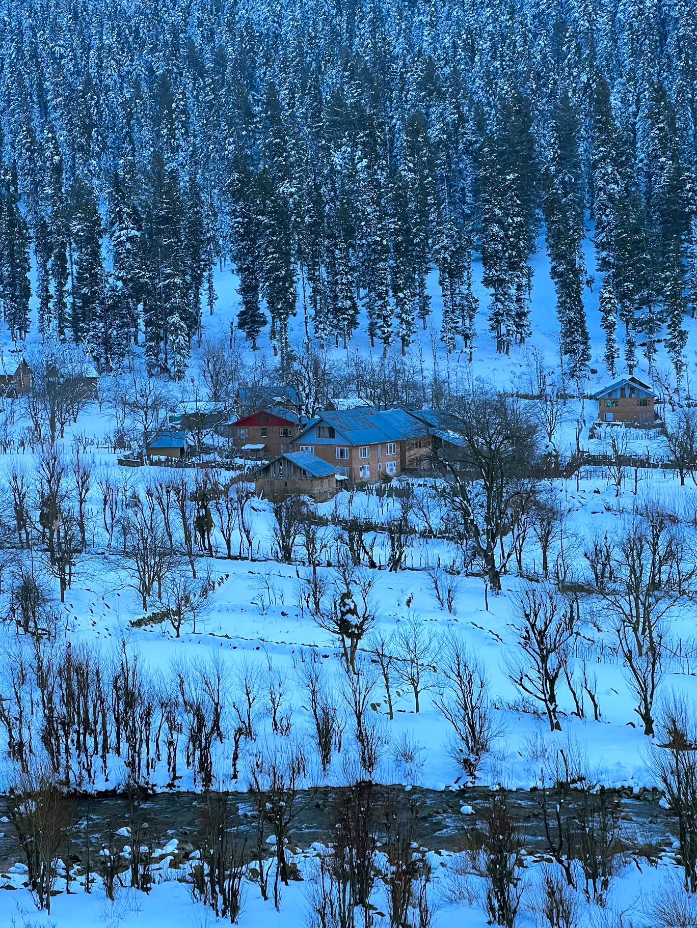 Photo of Kashmir By Nargis Farheena 