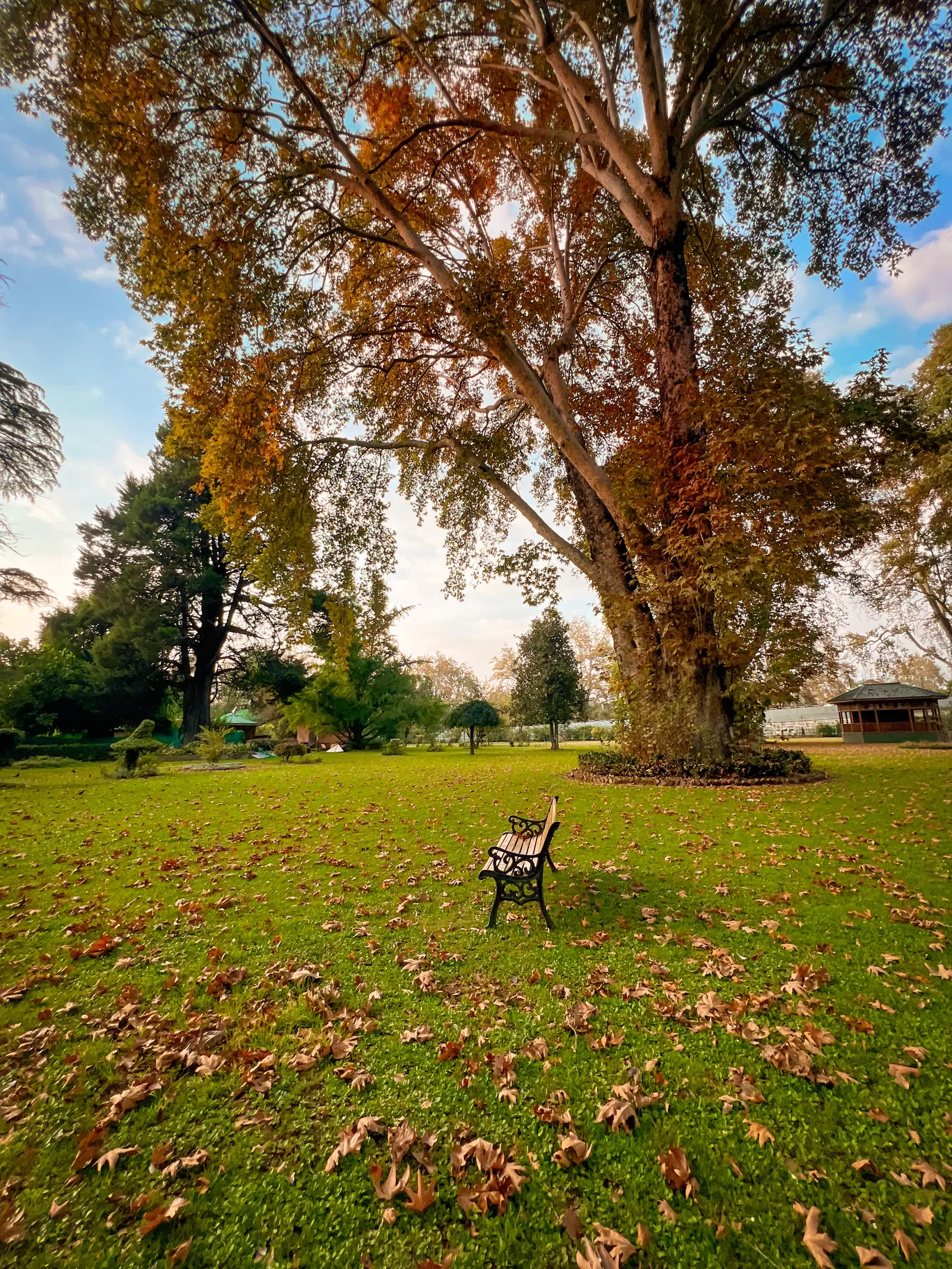 Photo of Kashmir By Nargis Farheena 