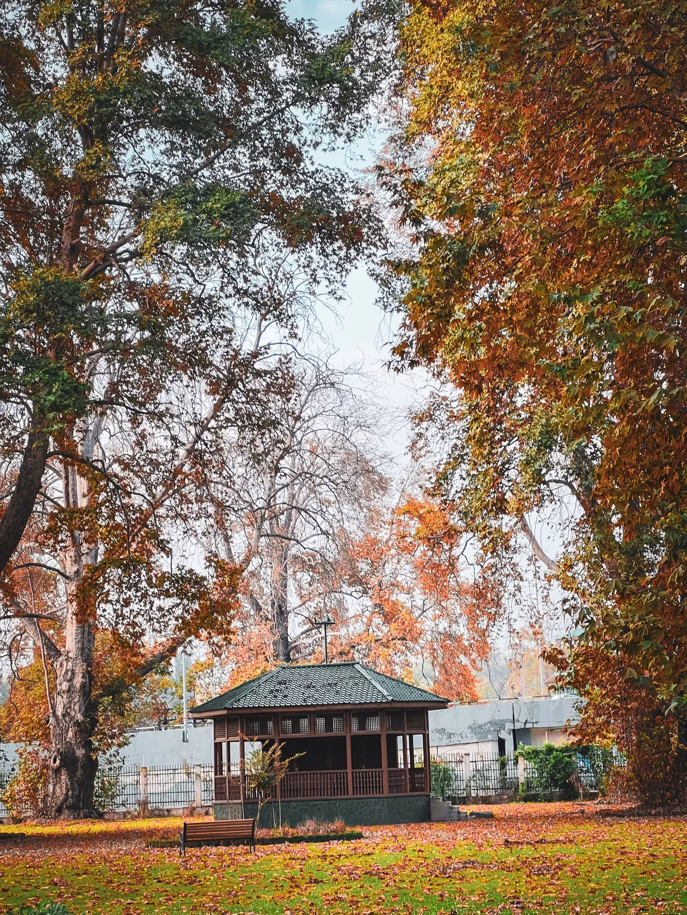 Photo of Kashmir By Nargis Farheena 