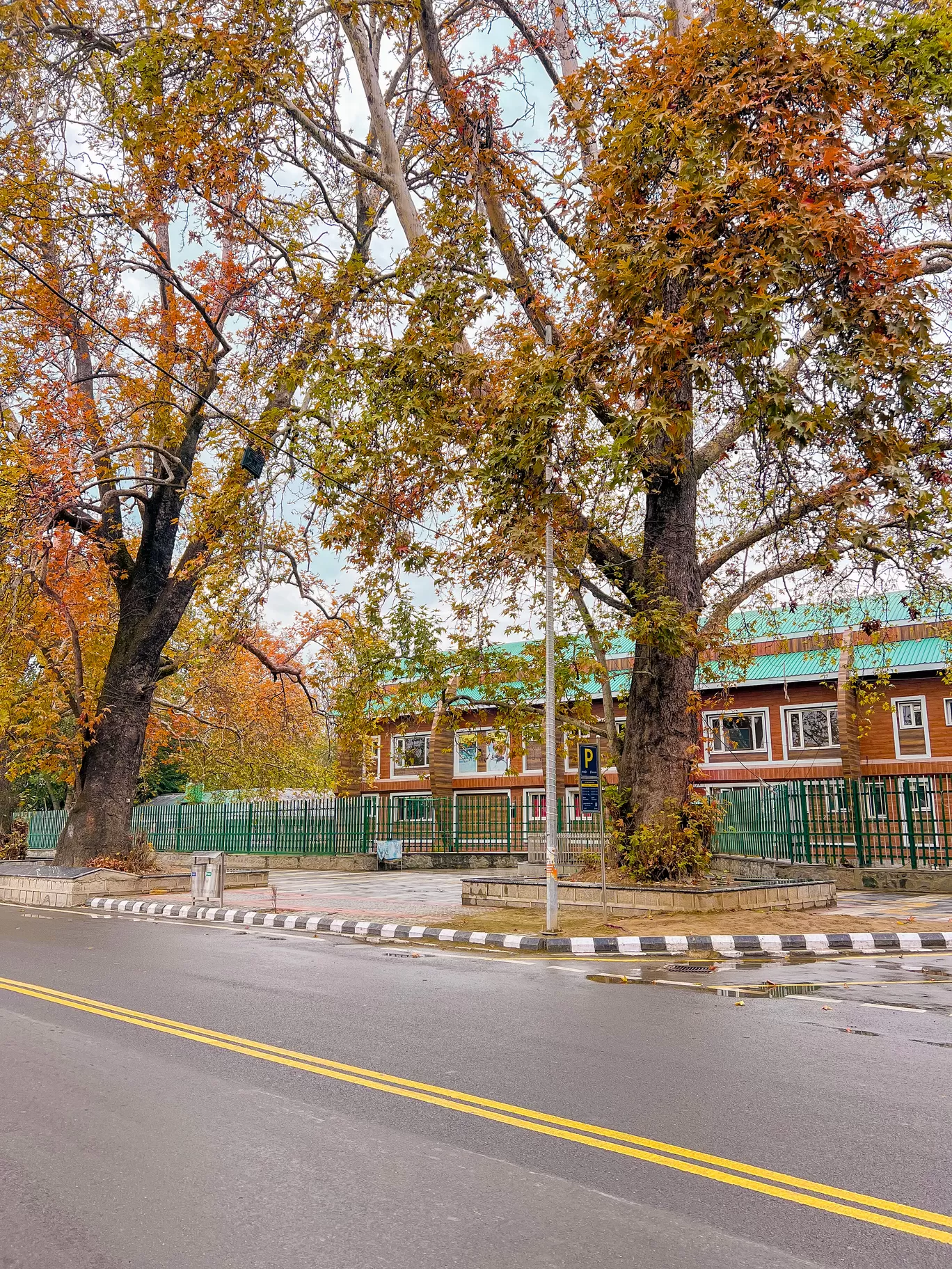 Photo of POLO VIEW MARKET By Nargis Farheena 