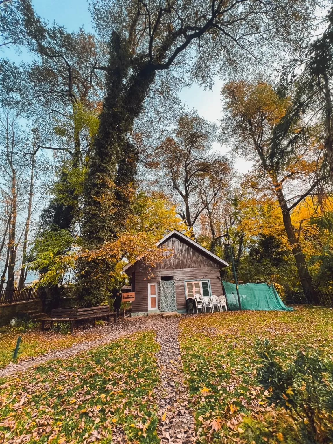 Photo of Dachigam National Park By Nargis Farheena 