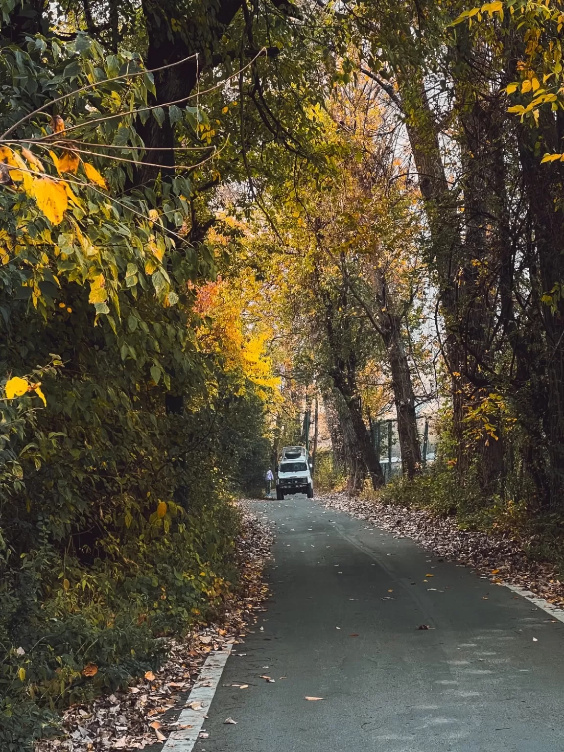 Photo of Dachigam National Park By Nargis Farheena 