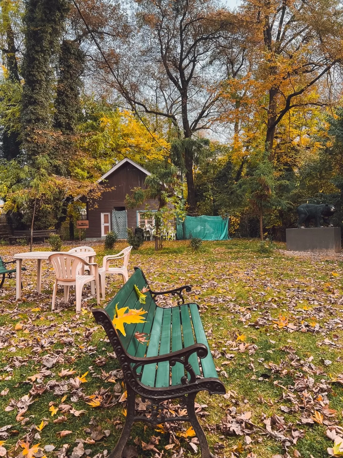 Photo of Dachigam National Park By Nargis Farheena 