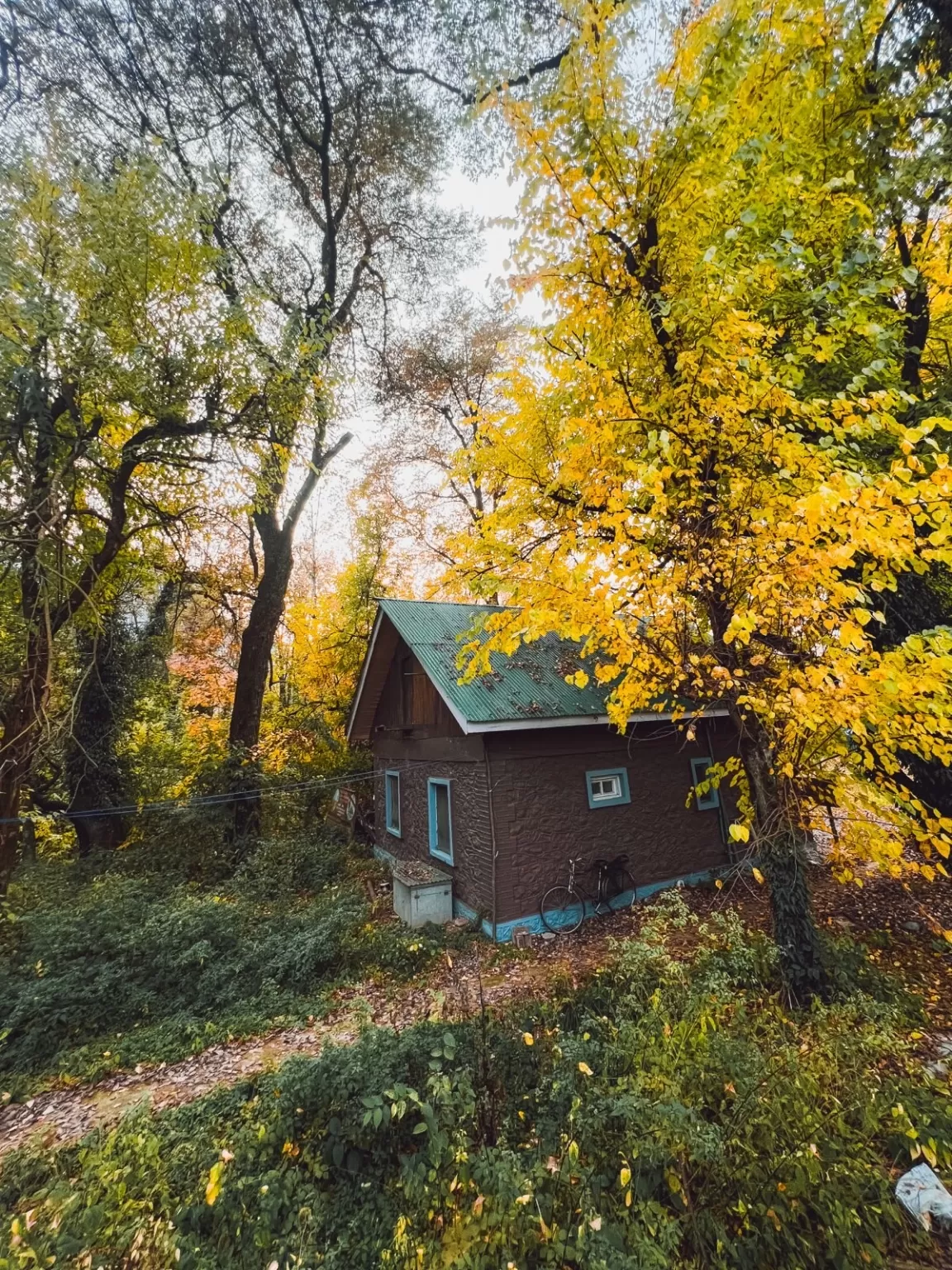 Photo of Dachigam National Park By Nargis Farheena 