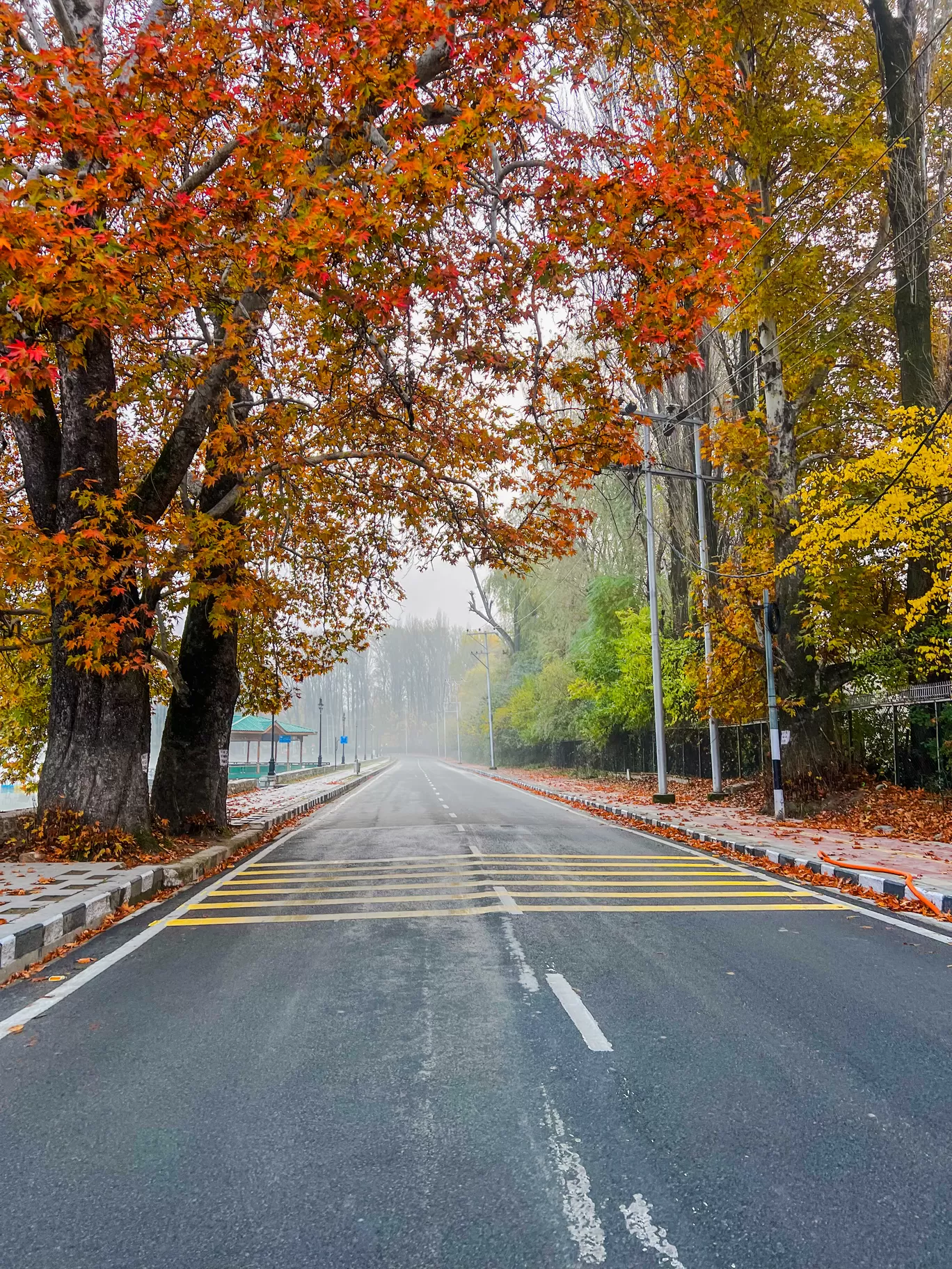 Photo of Boulevard Road By Nargis Farheena 
