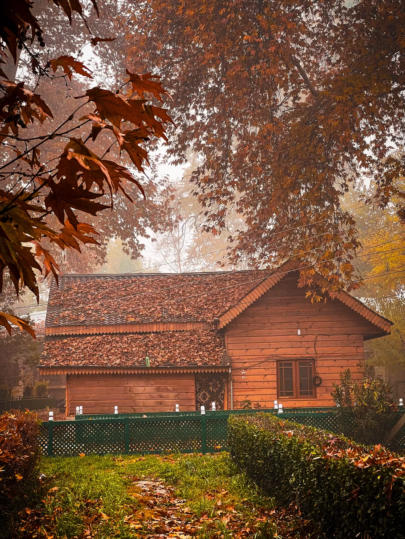Photo of Vale of Kashmir By Nargis Farheena 