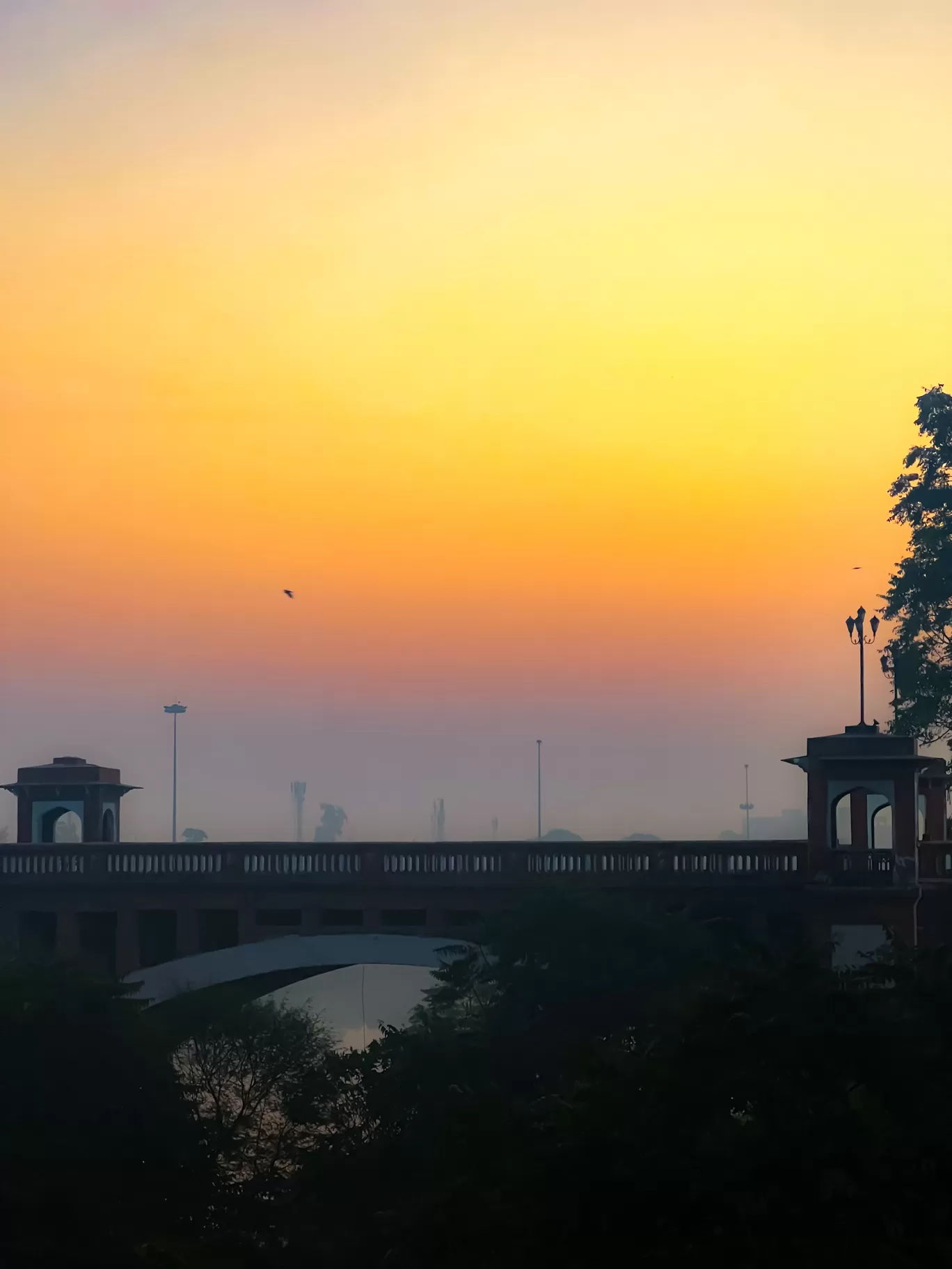 Photo of Old Lucknow Pharmacy By Nargis Farheena 