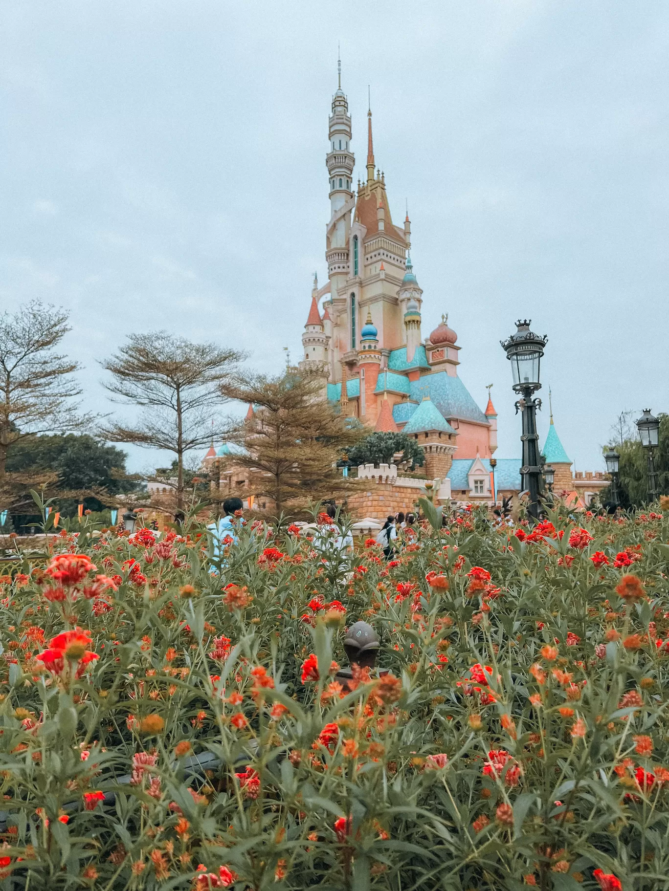 Photo of Hong Kong Disneyland By Nargis Farheena 