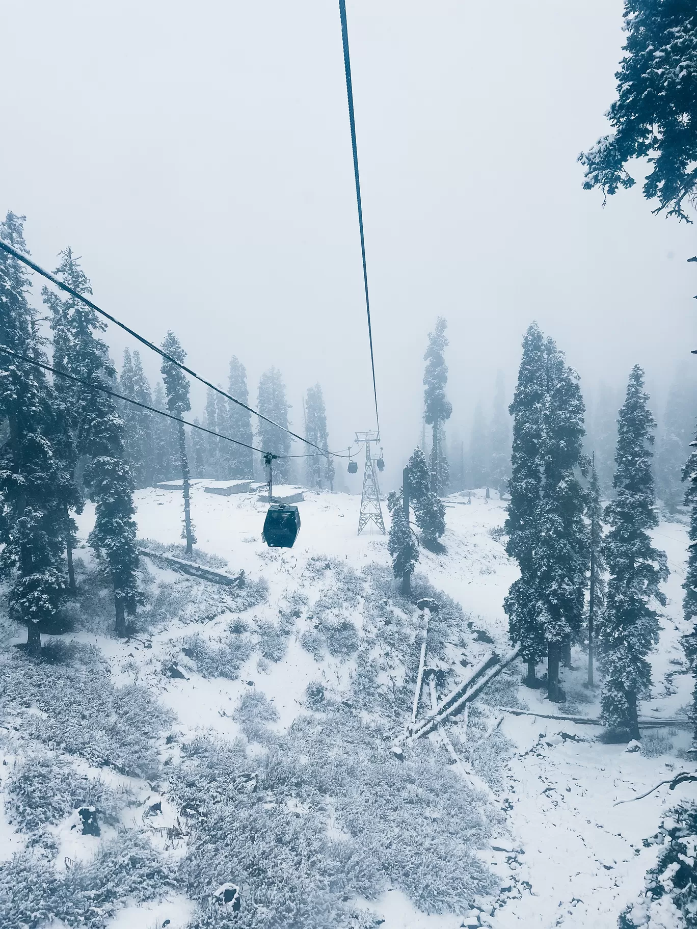 Photo of Gulmarg By Nargis Farheena 