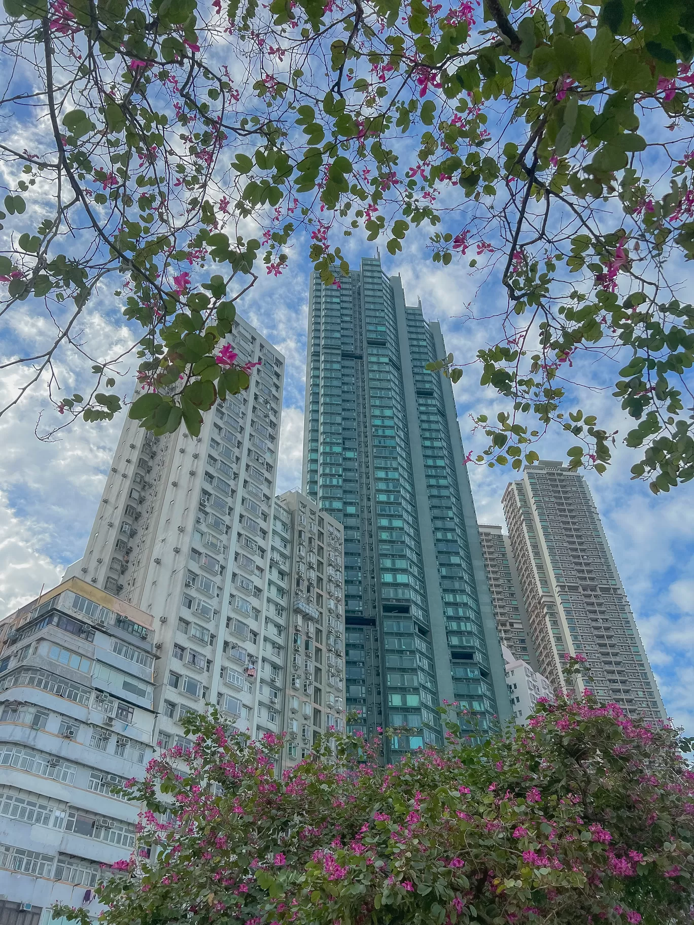 Photo of Hong Kong By Nargis Farheena 