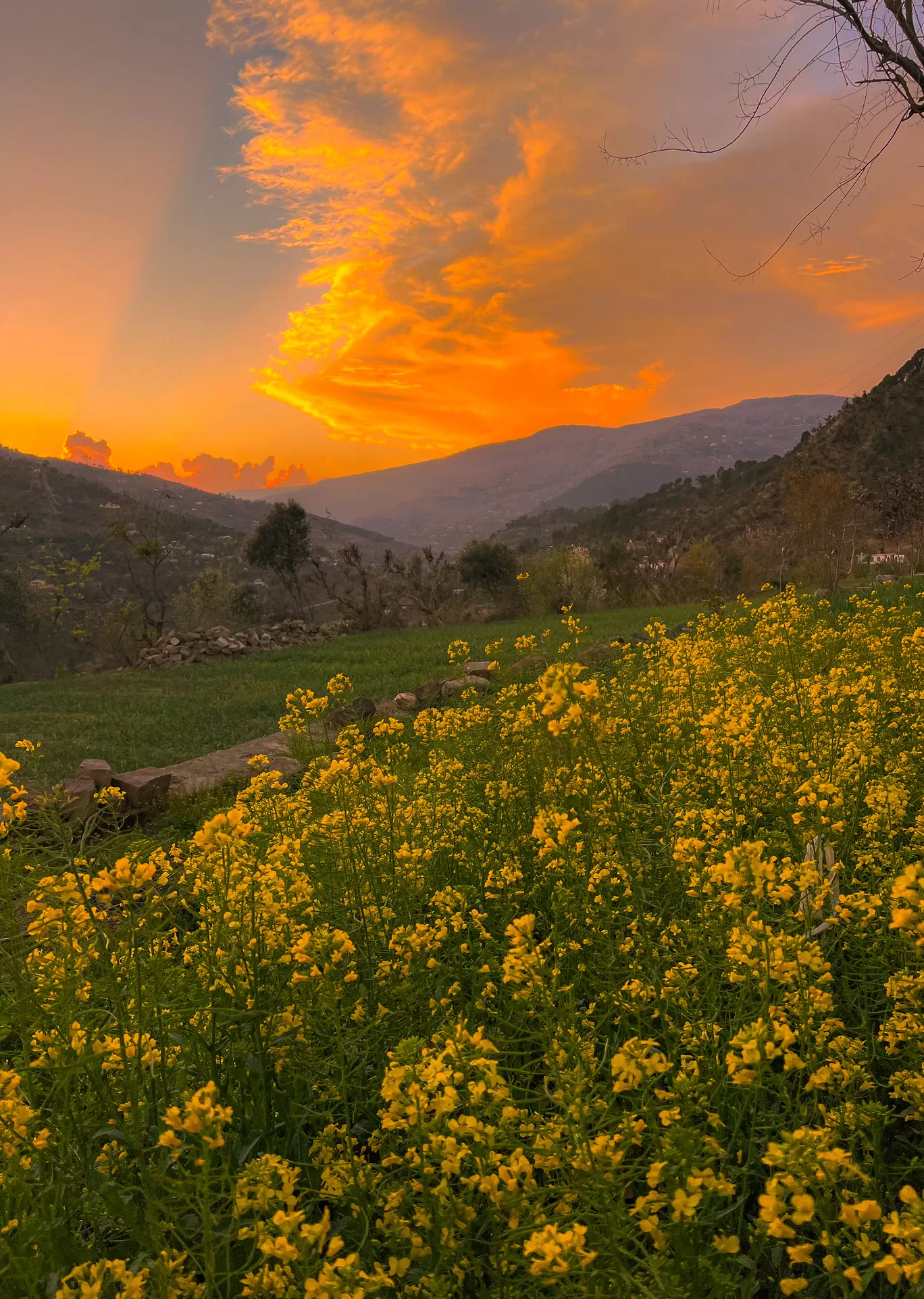 Photo of Sudhmahadev By Nargis Farheena 