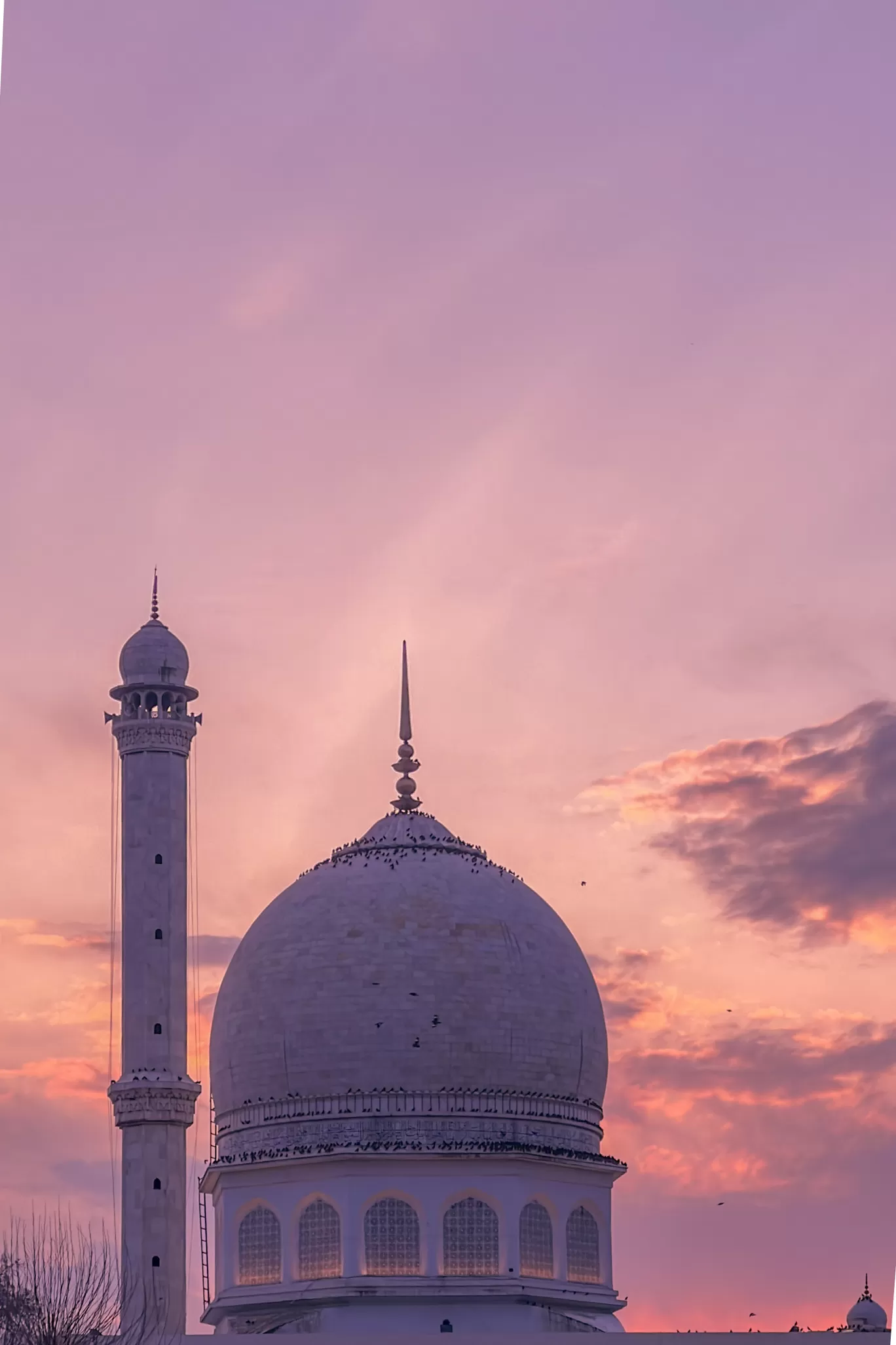 Photo of Dargah Hazratbal Shrine By Nargis Farheena 