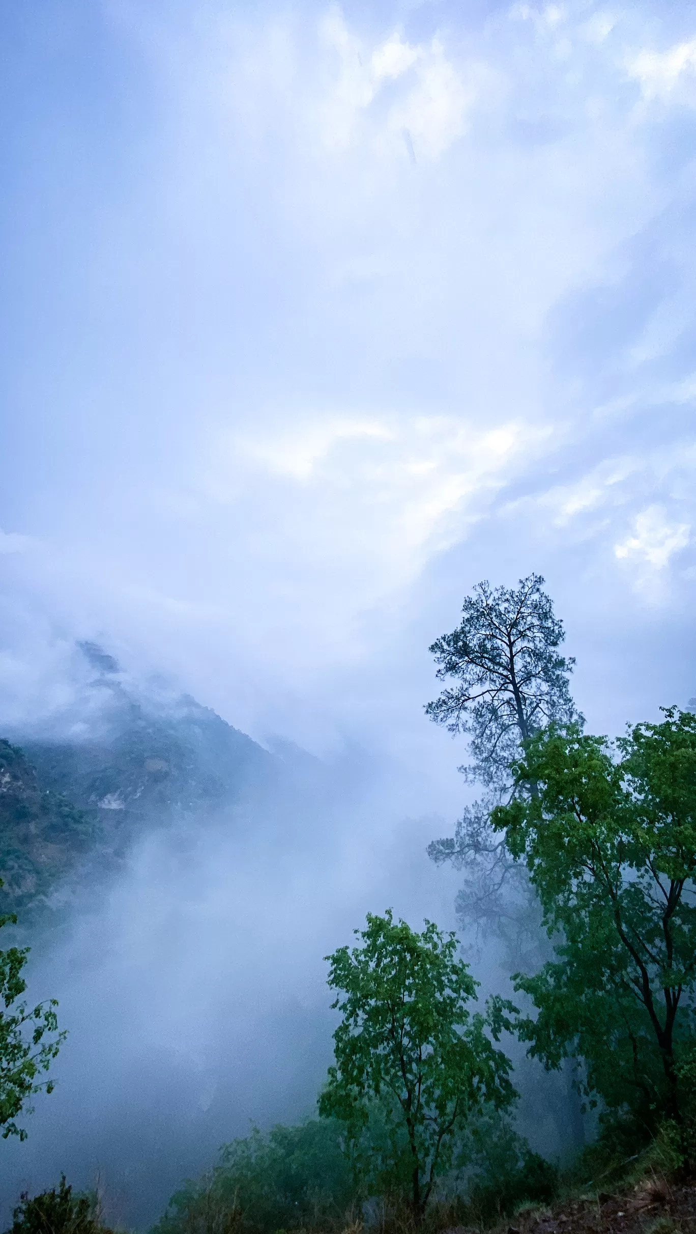 Photo of Kashmir By Nargis Farheena 