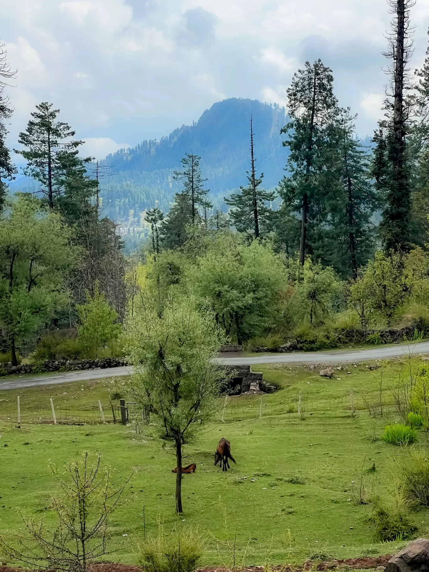 Photo of Kashmir By Nargis Farheena 