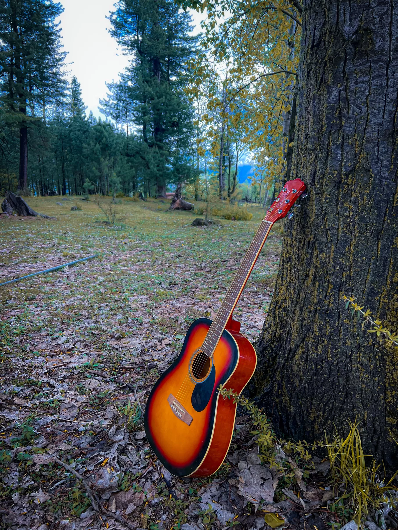 Photo of Kashmir By Nargis Farheena 