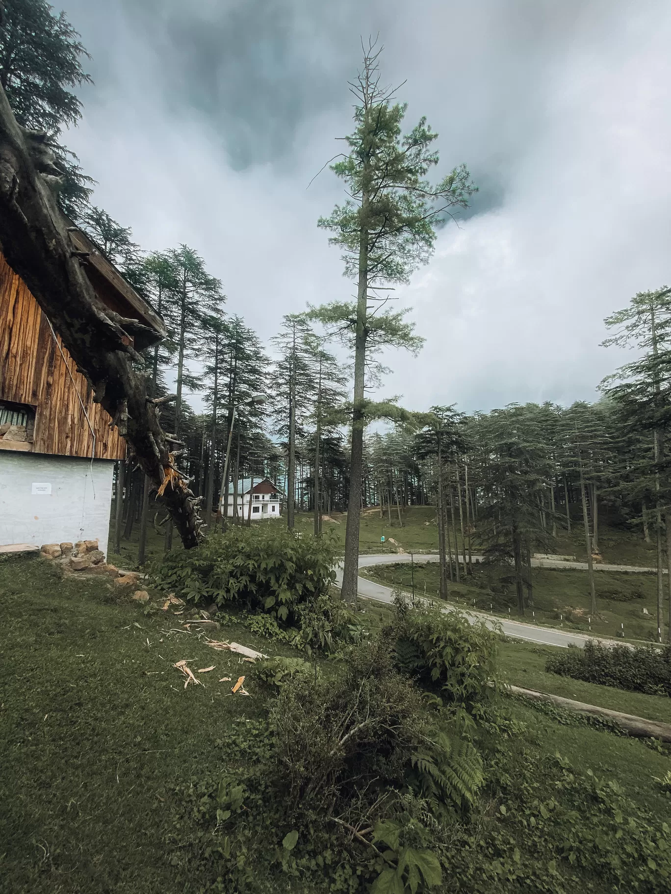 Photo of Patnitop By Nargis Farheena 