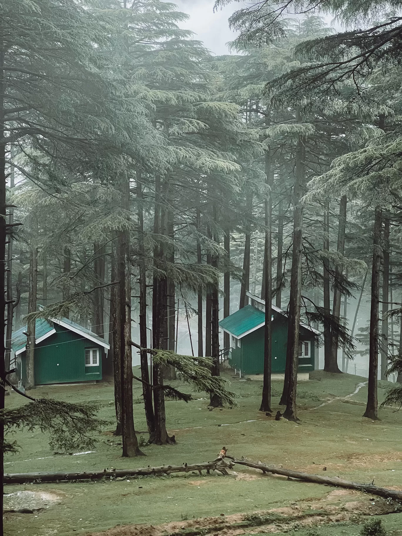 Photo of Patnitop By Nargis Farheena 
