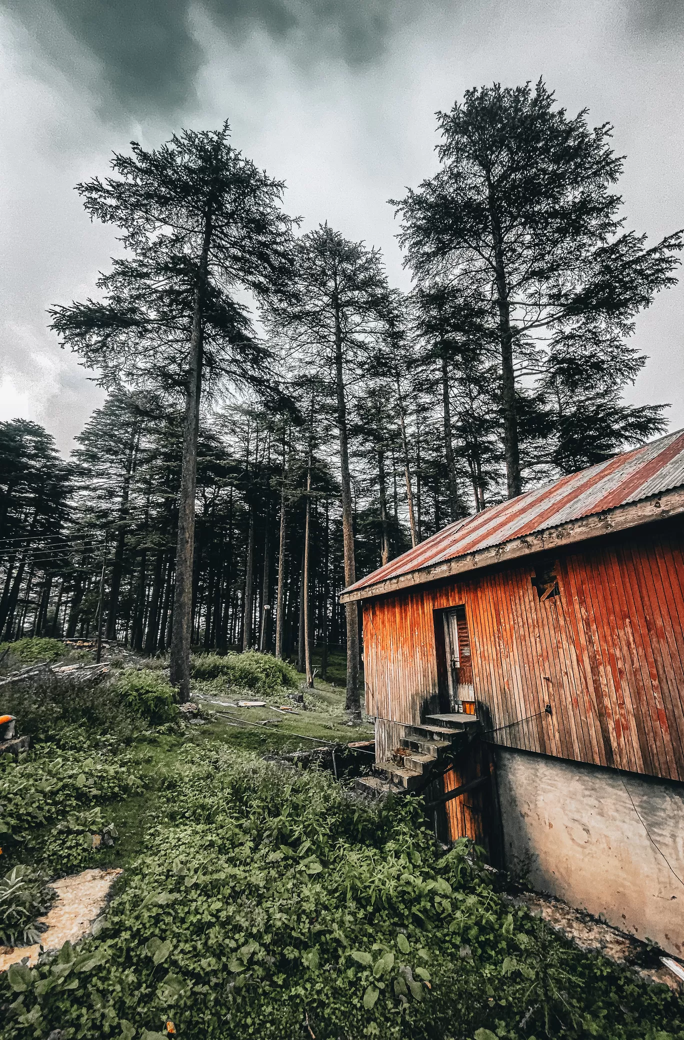 Photo of Patnitop By Nargis Farheena 