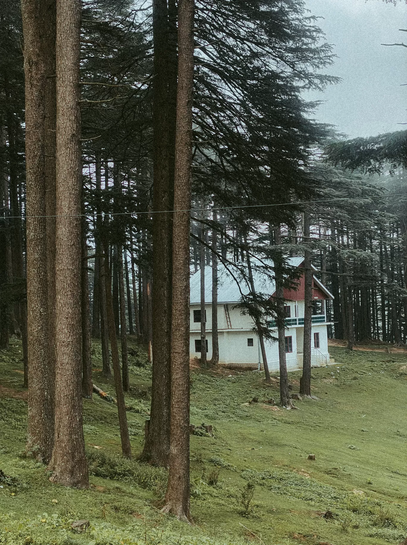 Photo of Patnitop By Nargis Farheena 