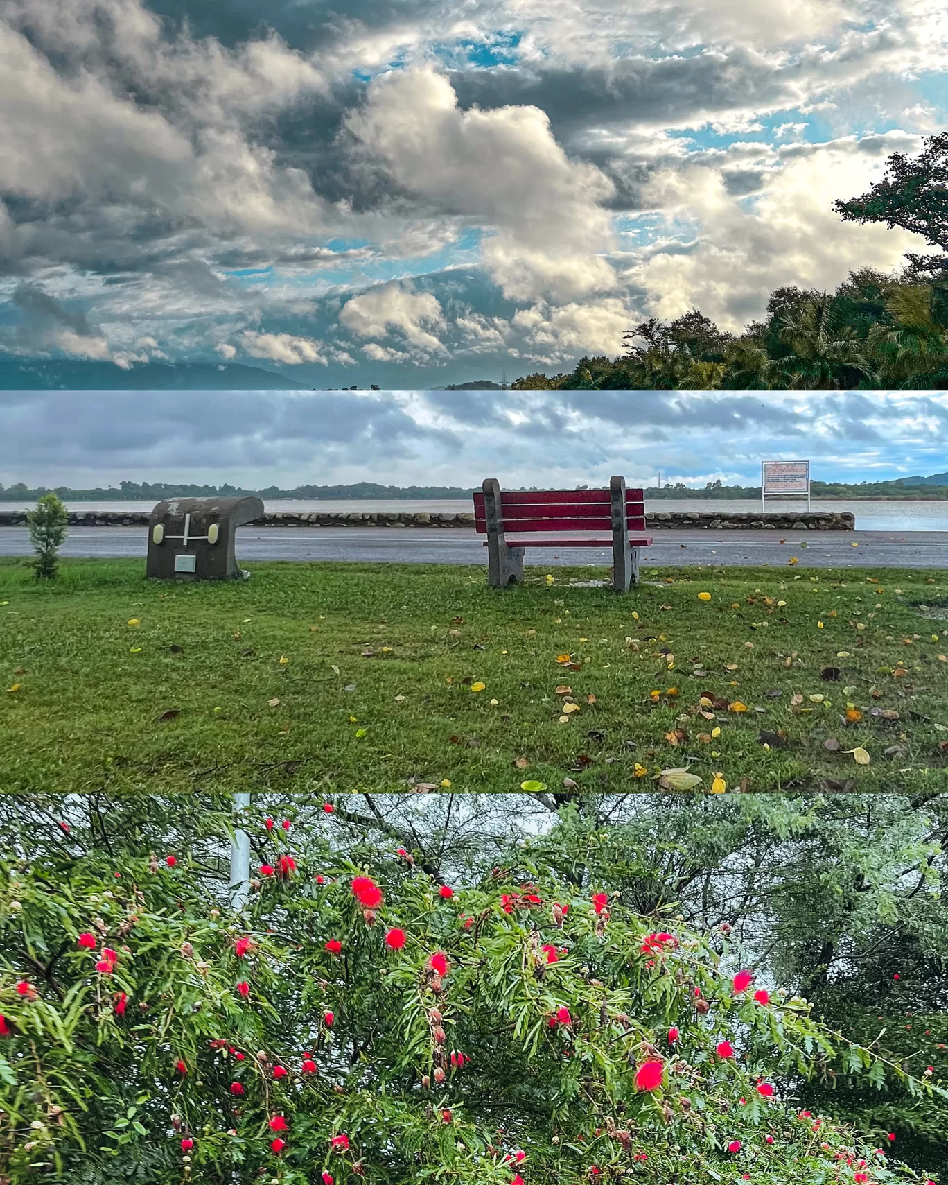 Photo of Sukhna Lake Chandigarh By Nargis Farheena 