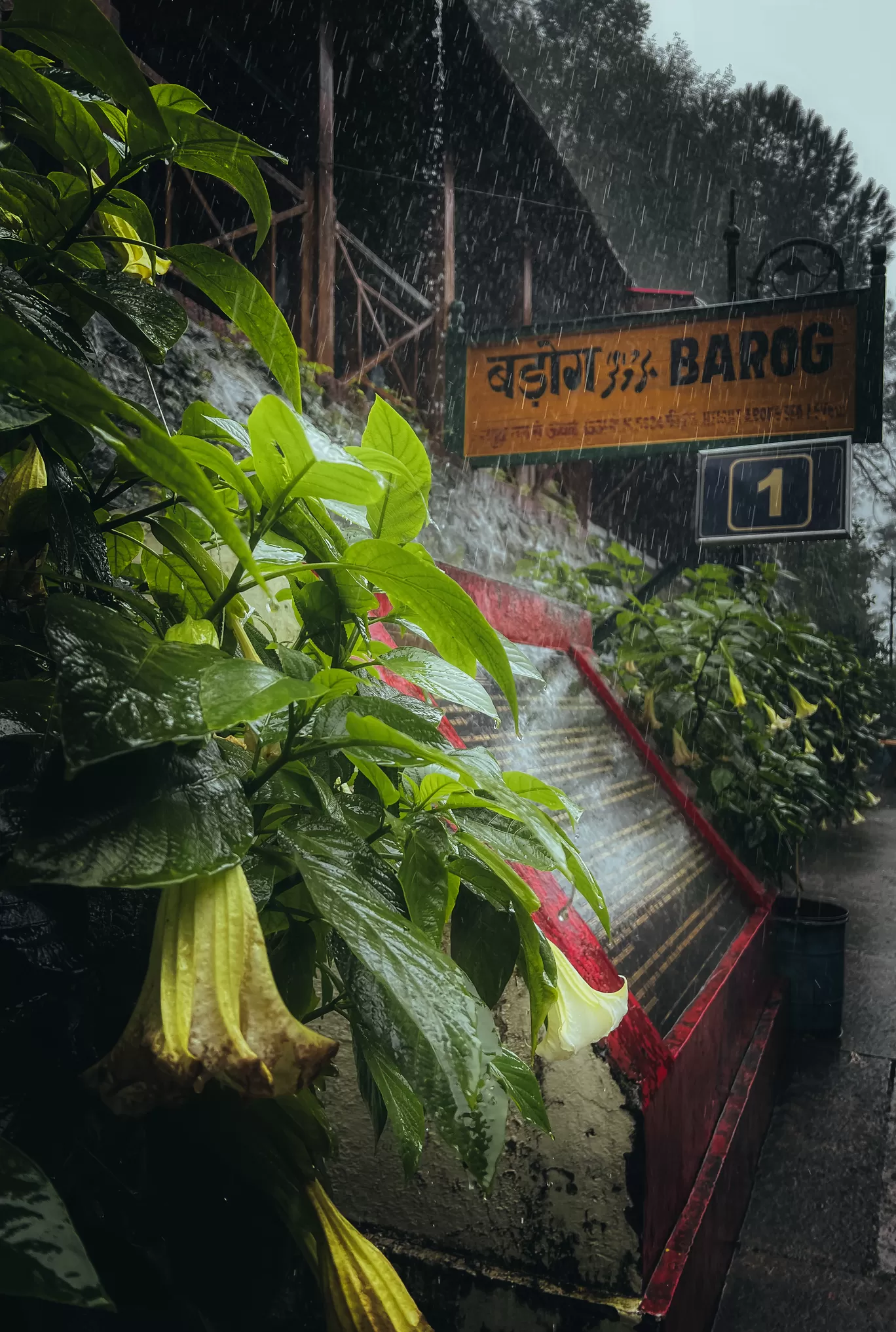 Photo of Kalka Shimla Railway By Nargis Farheena 